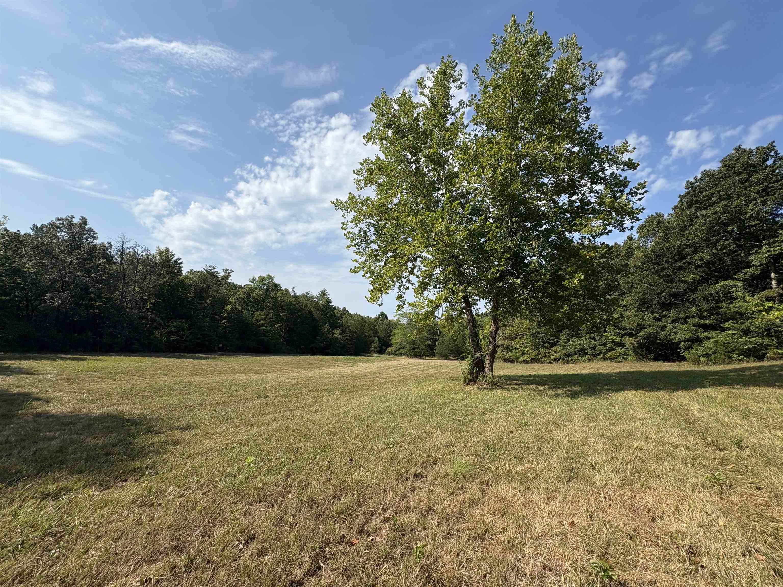 8624 S Highway 63  Mammoth Spring, AR