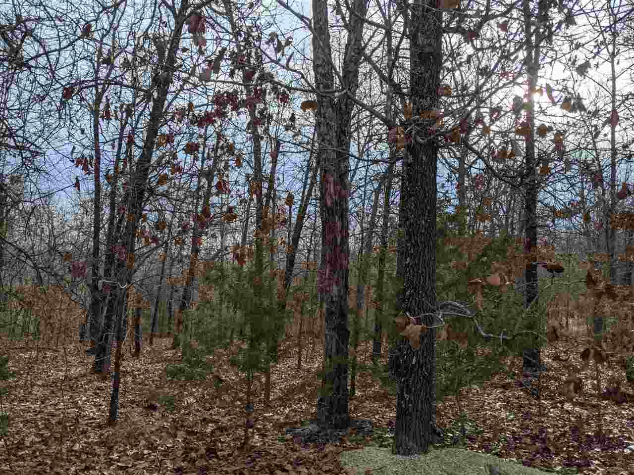  Cherokee Acres  Cherokee Village, AR