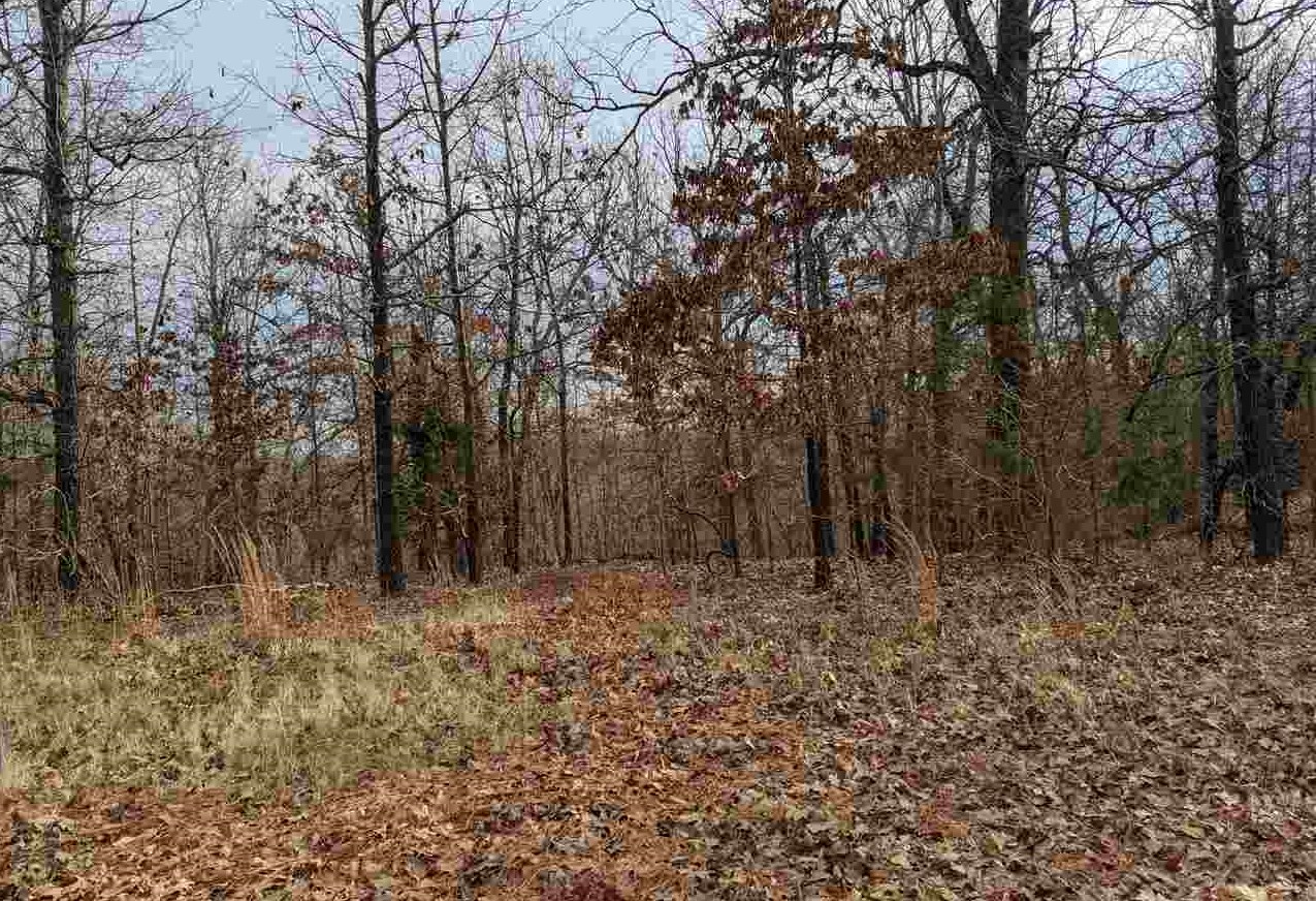  Cherokee Acres  Cherokee Village, AR