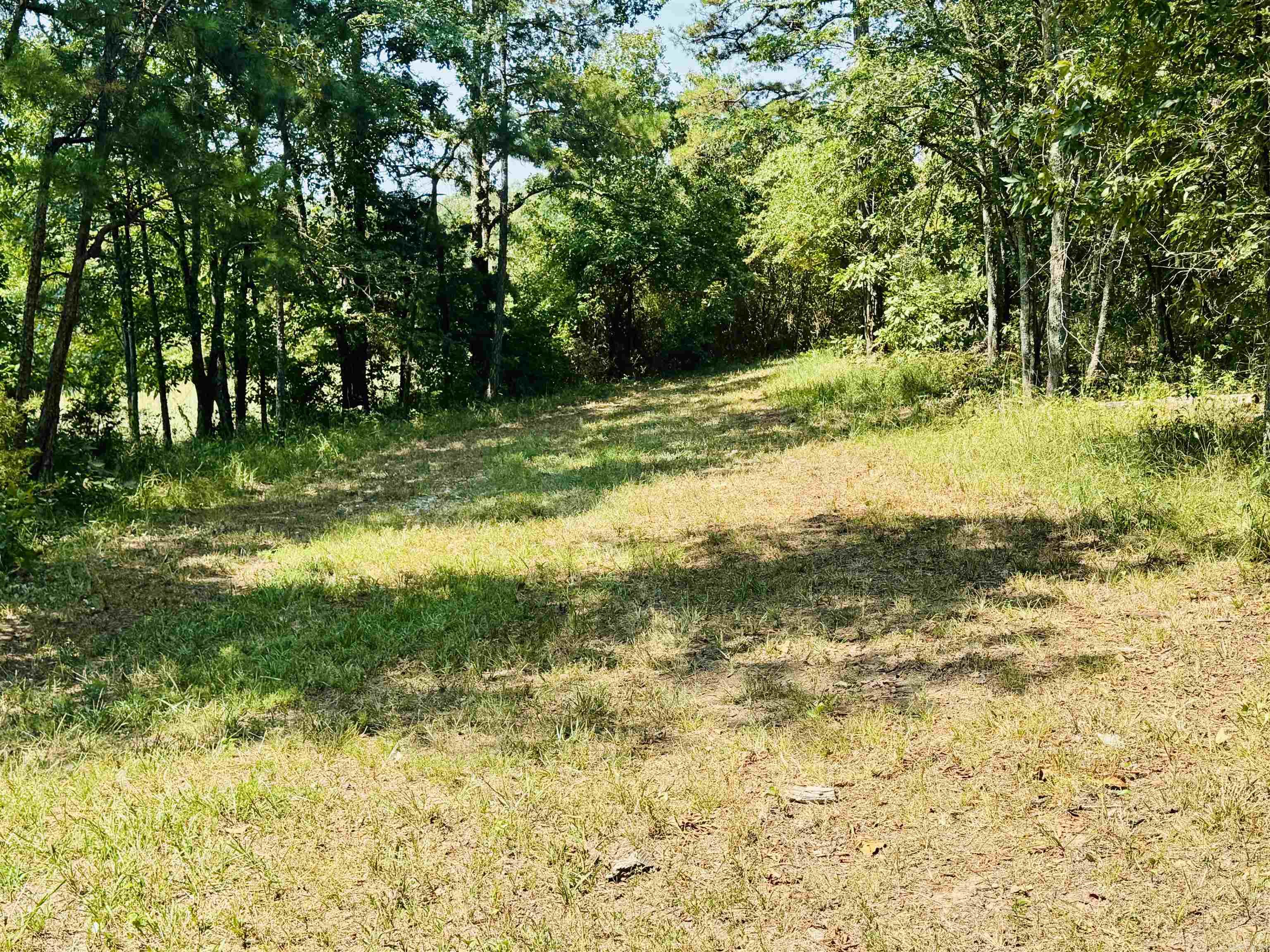 TBD Collins Field  Mount Ida, AR