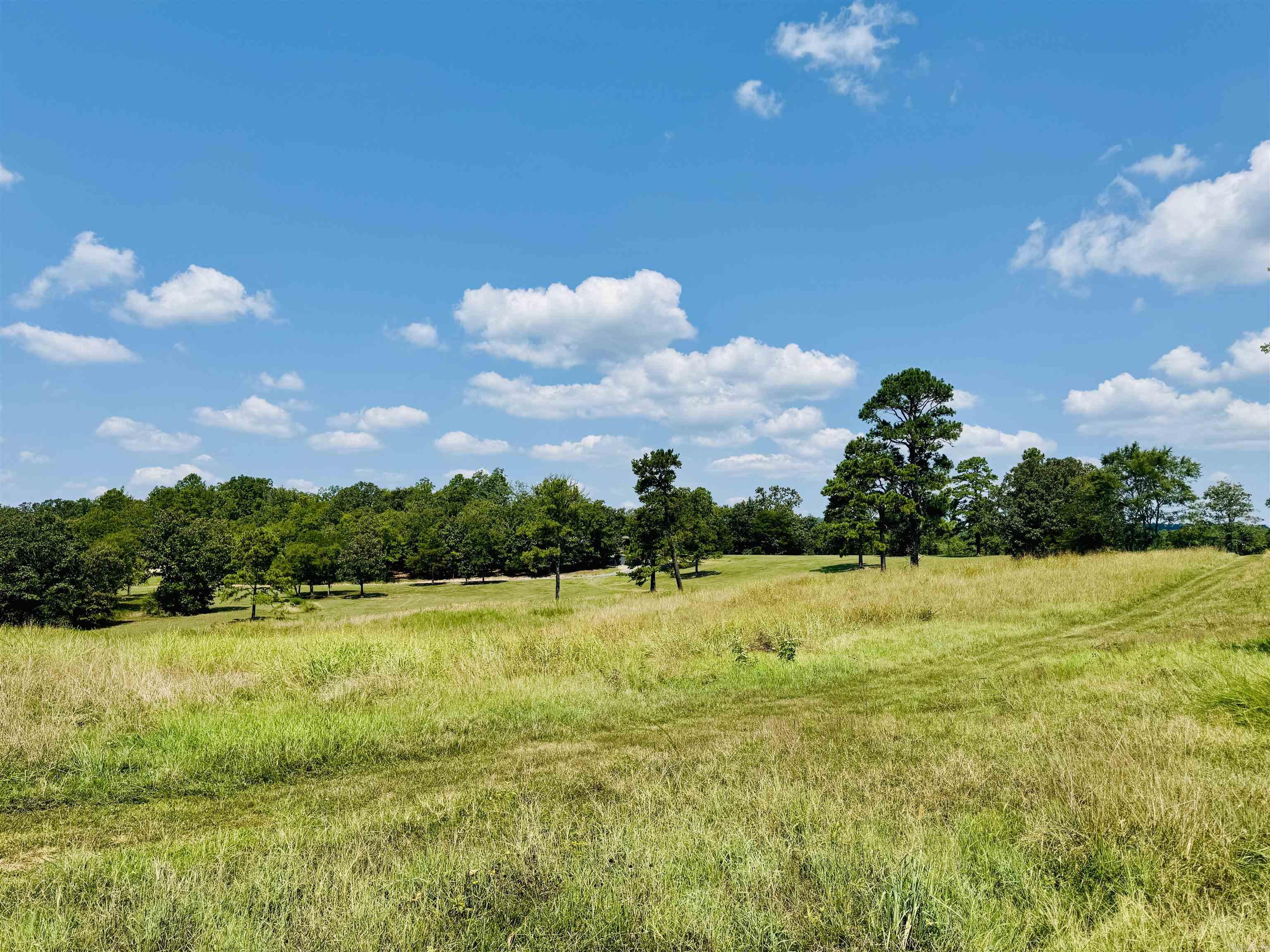 TBD Collins Field  Mount Ida, AR