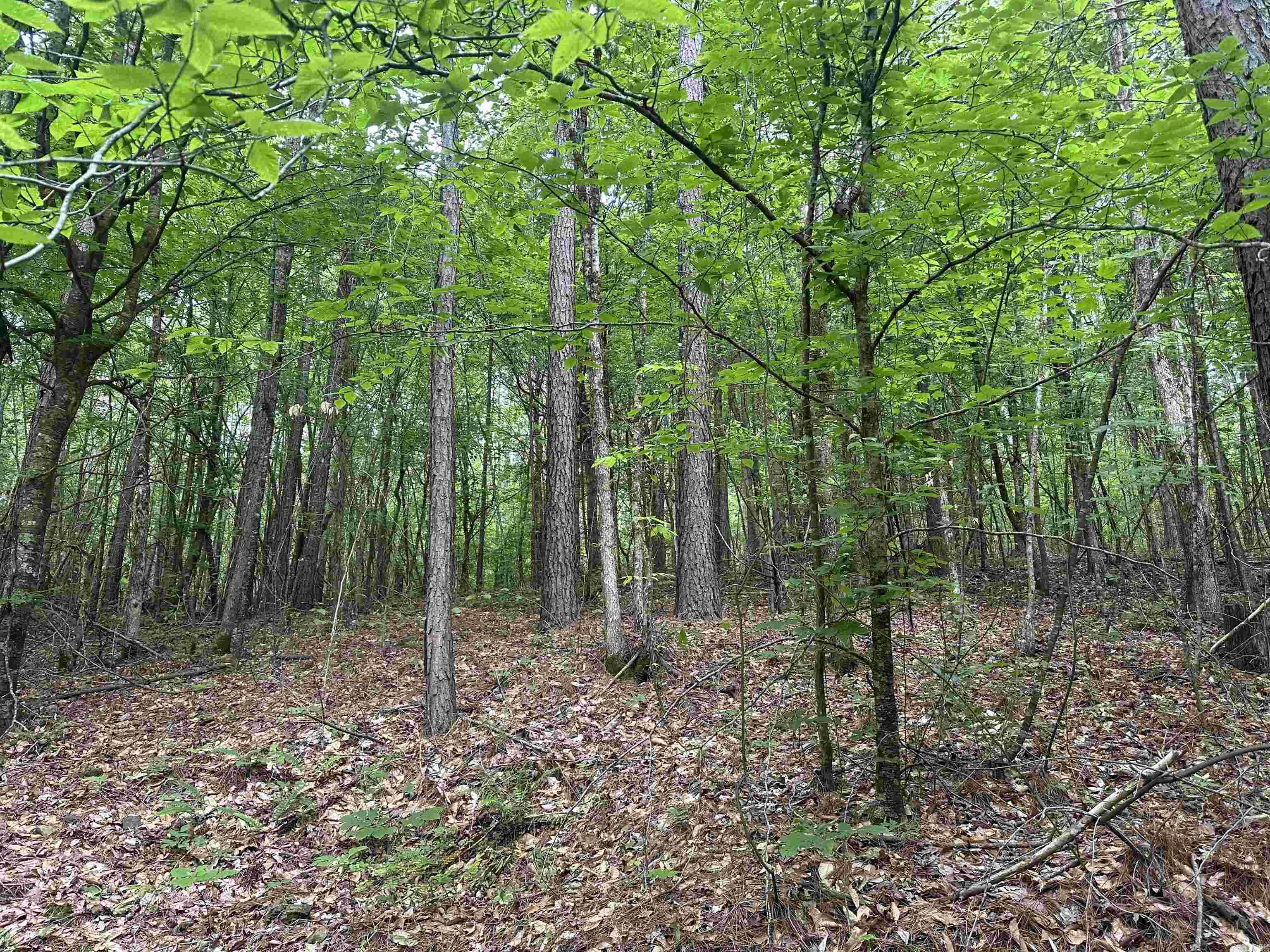  123  Hagarville, AR