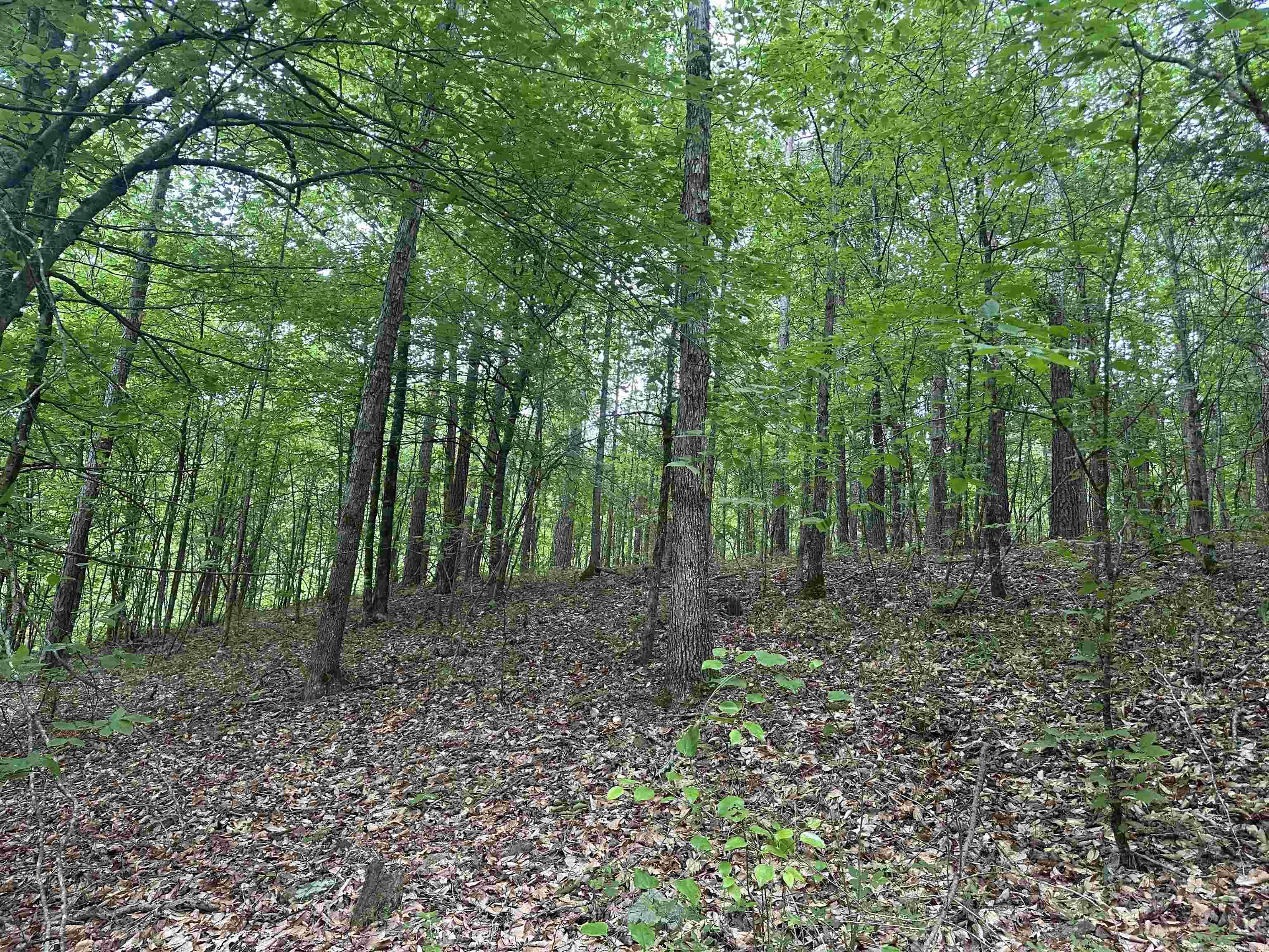  123  Hagarville, AR