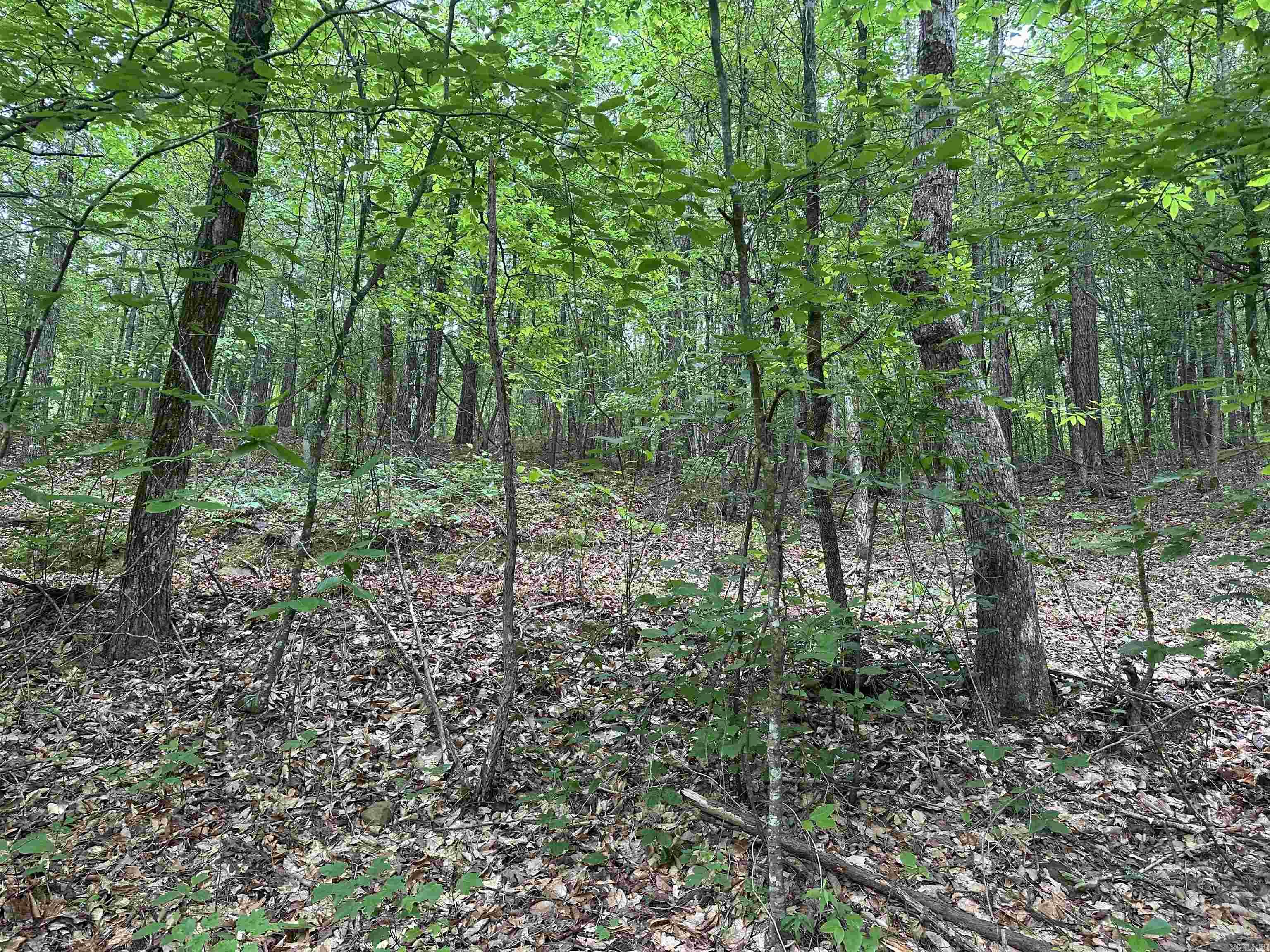  123  Hagarville, AR