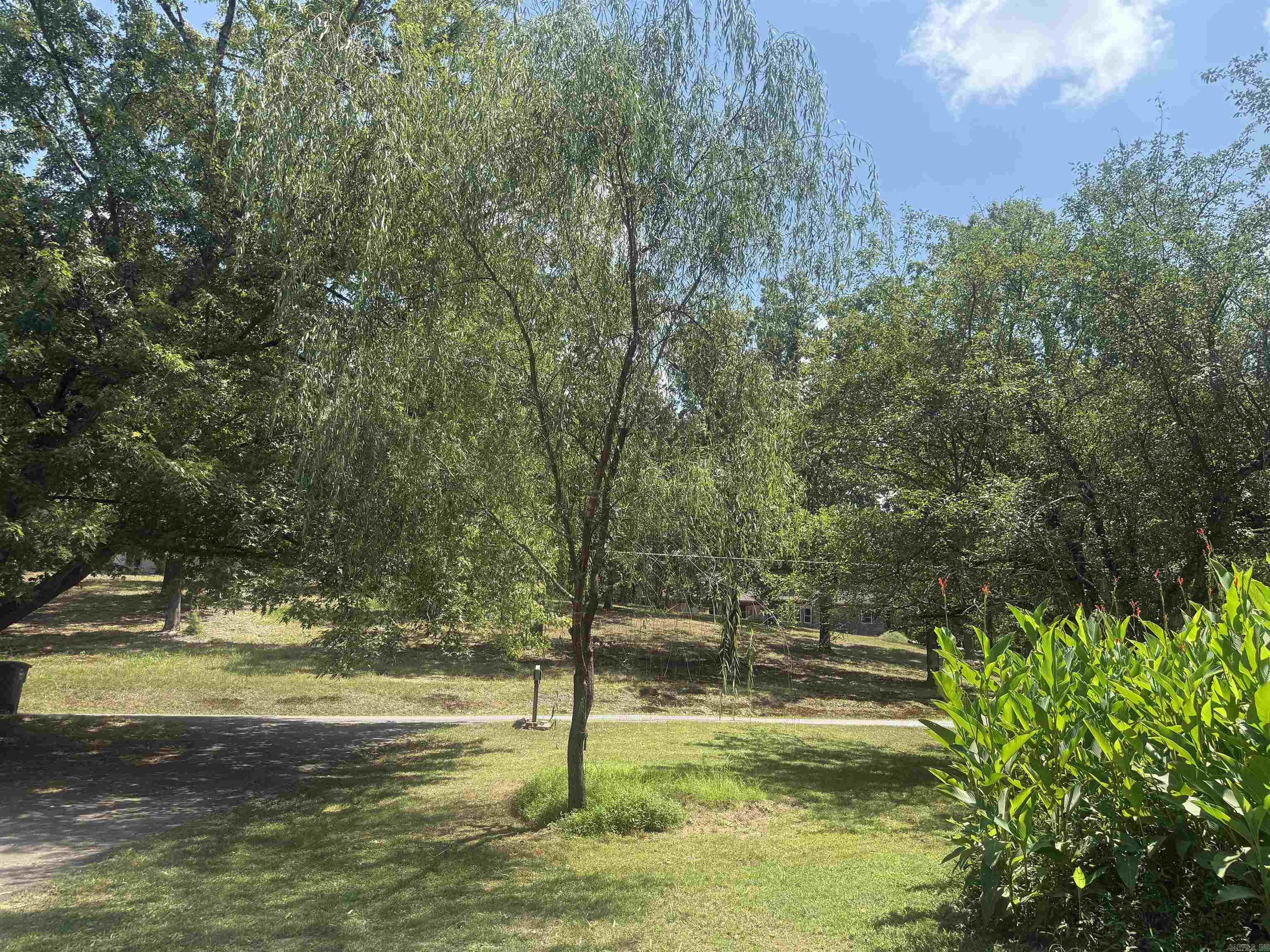 234 Randallwood  Hot Springs, AR