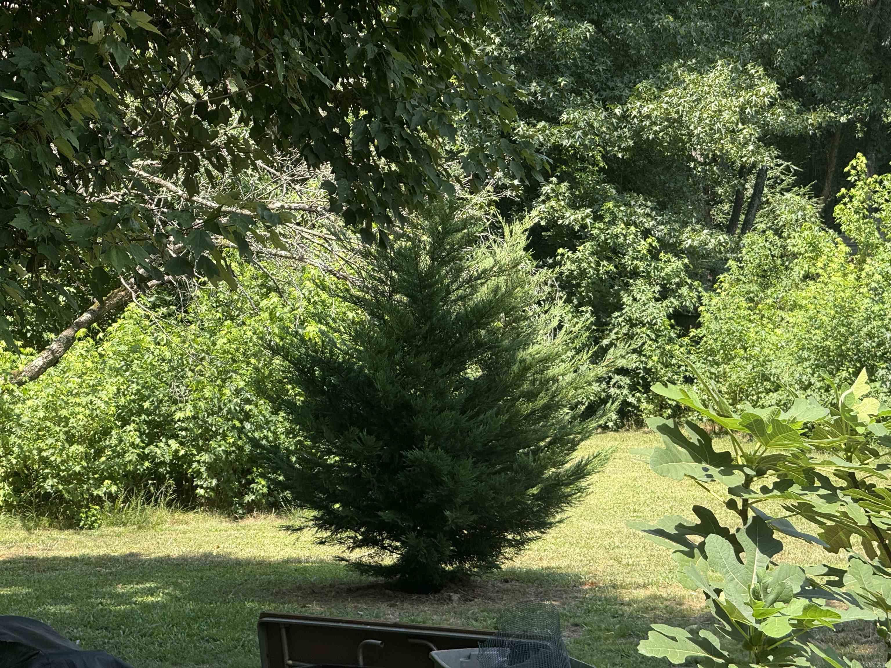 234 Randallwood  Hot Springs, AR