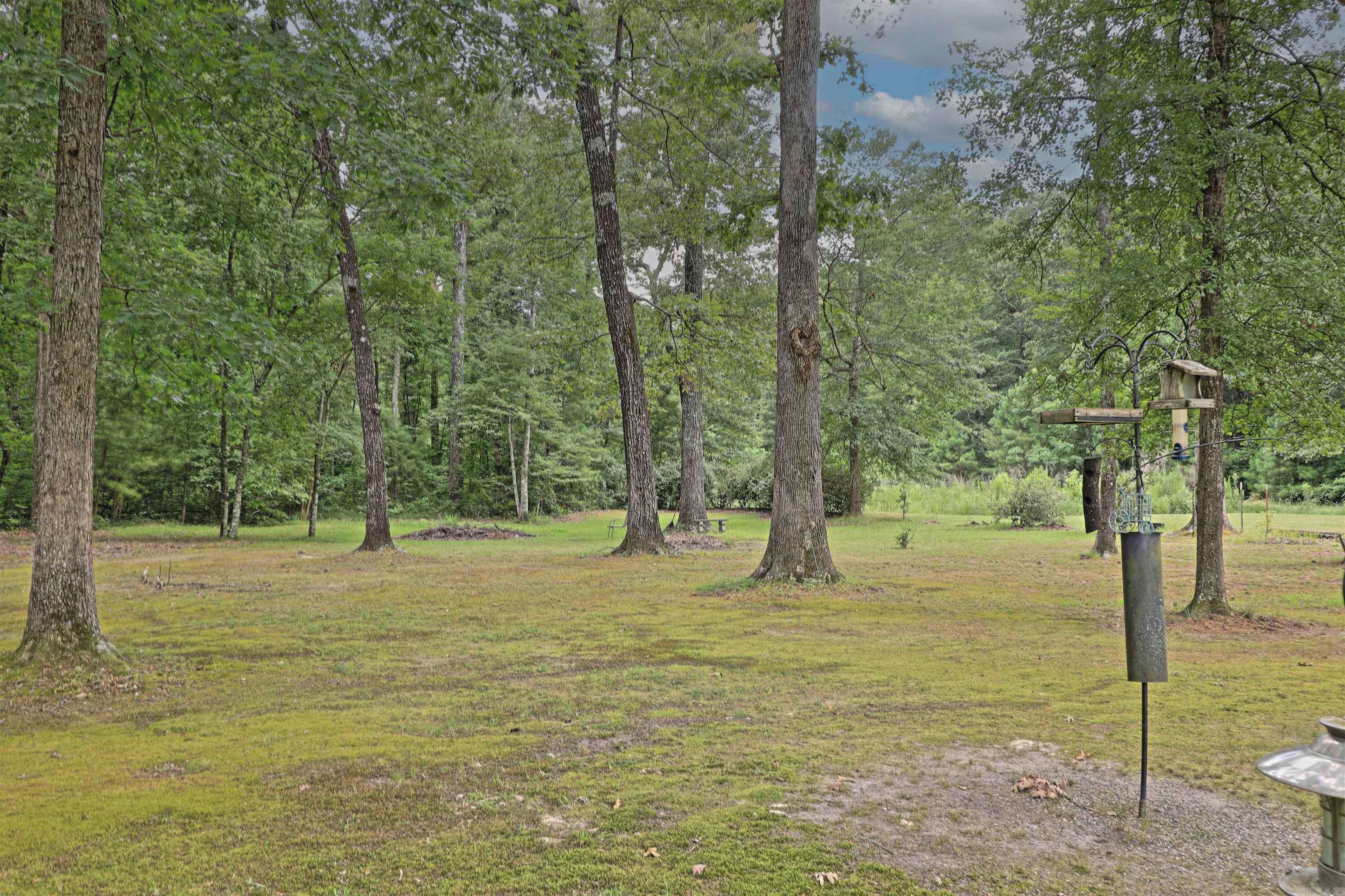 8142 SULPHUR SPRINGS  Pine Bluff, AR
