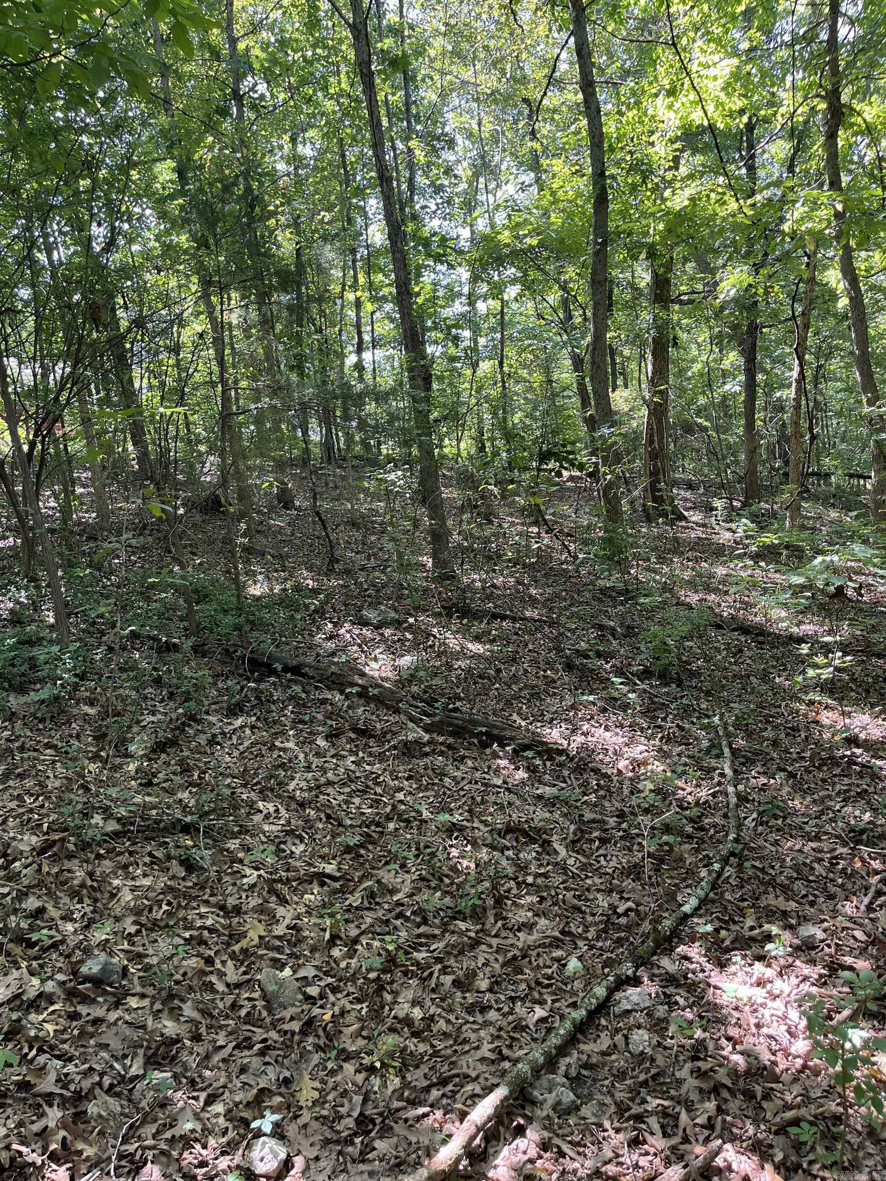 Lt 23,24,25 Sycamore Tree  Lakeview, AR