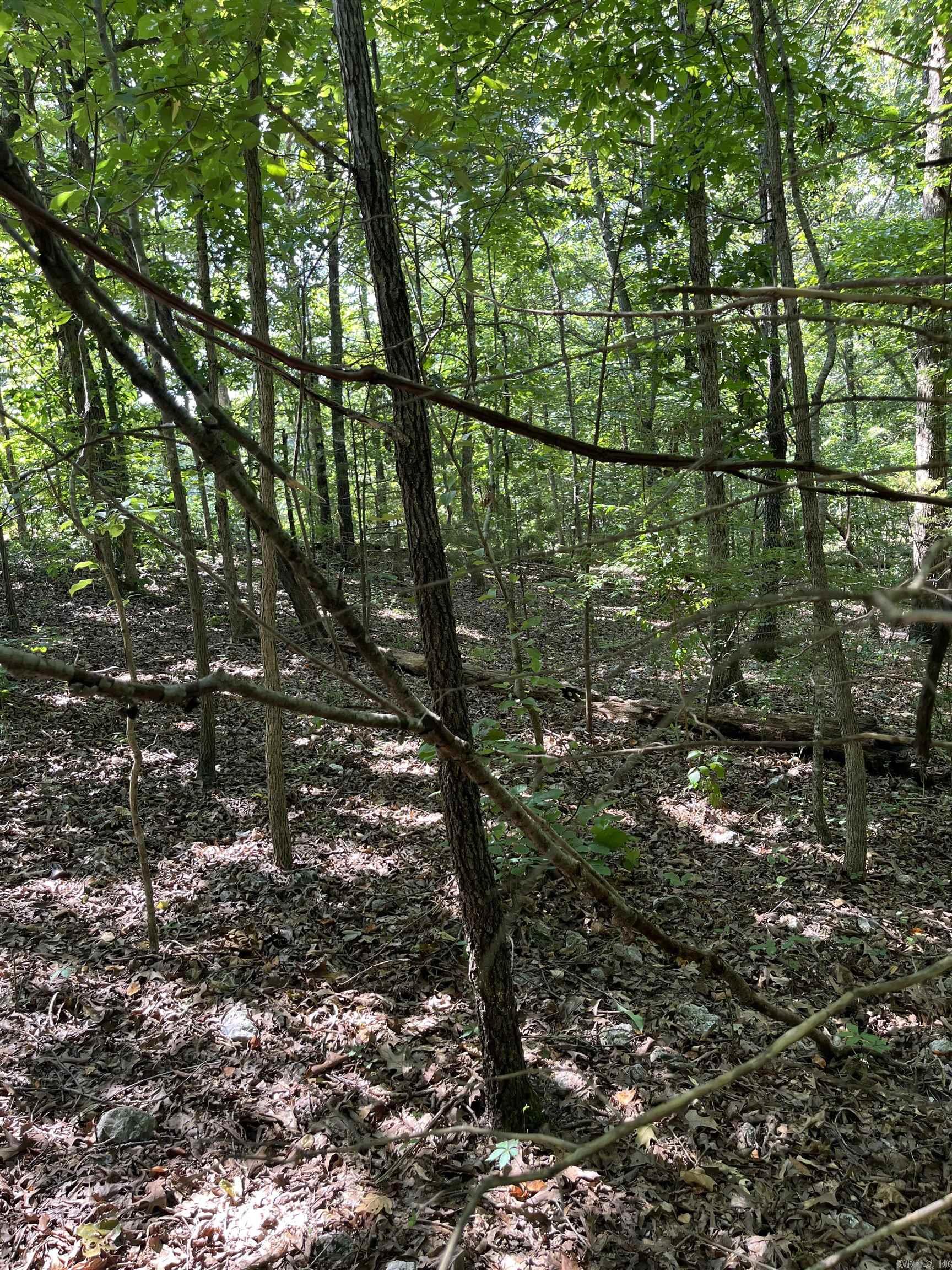 Lt 23,24,25 Sycamore Tree  Lakeview, AR