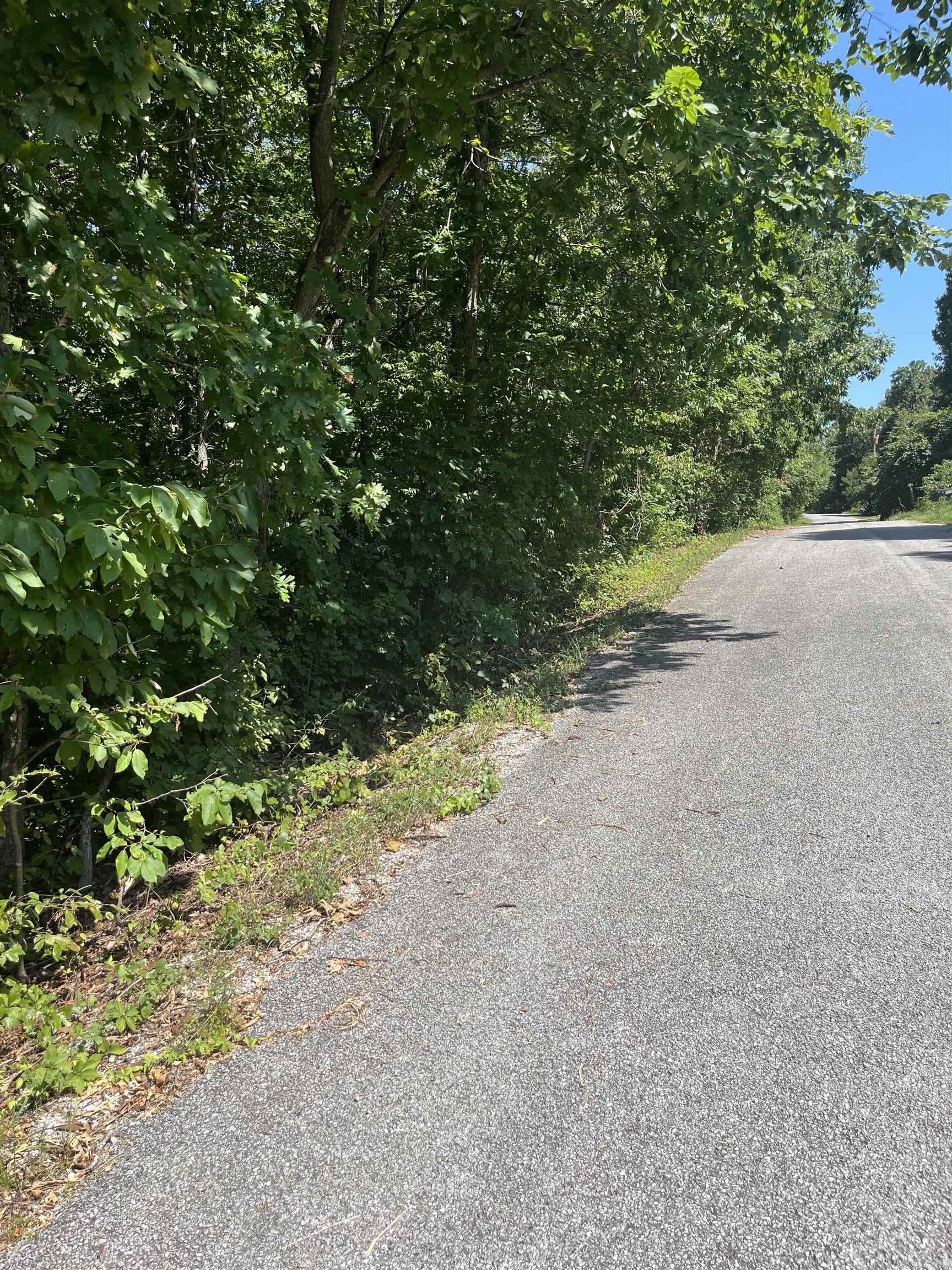 Lt 23,24,25 Sycamore Tree  Lakeview, AR