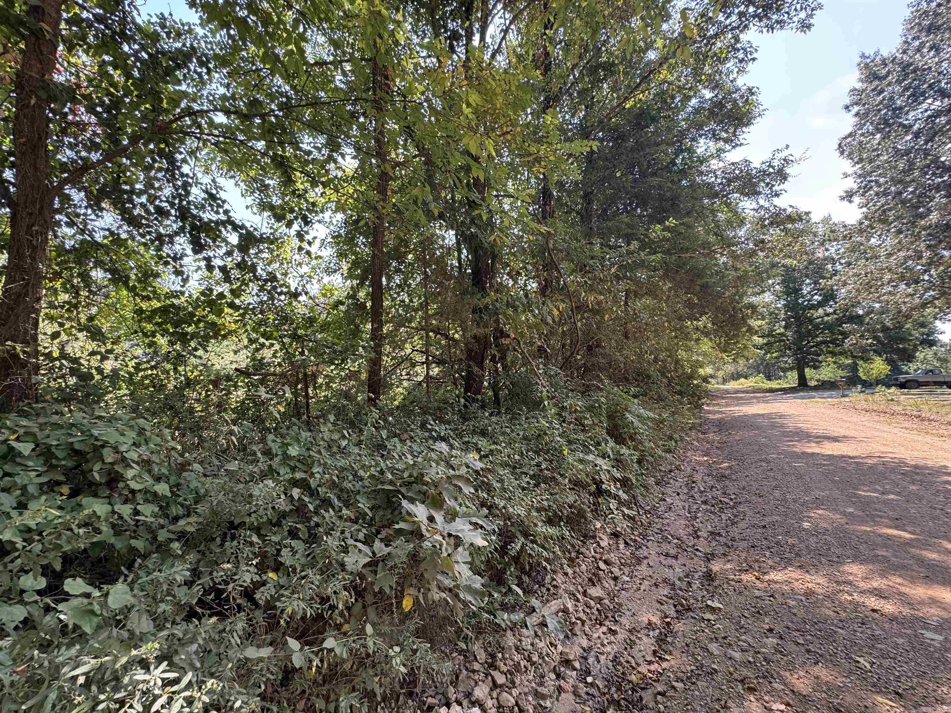 000 Gaylor Rd  Mountain View, AR