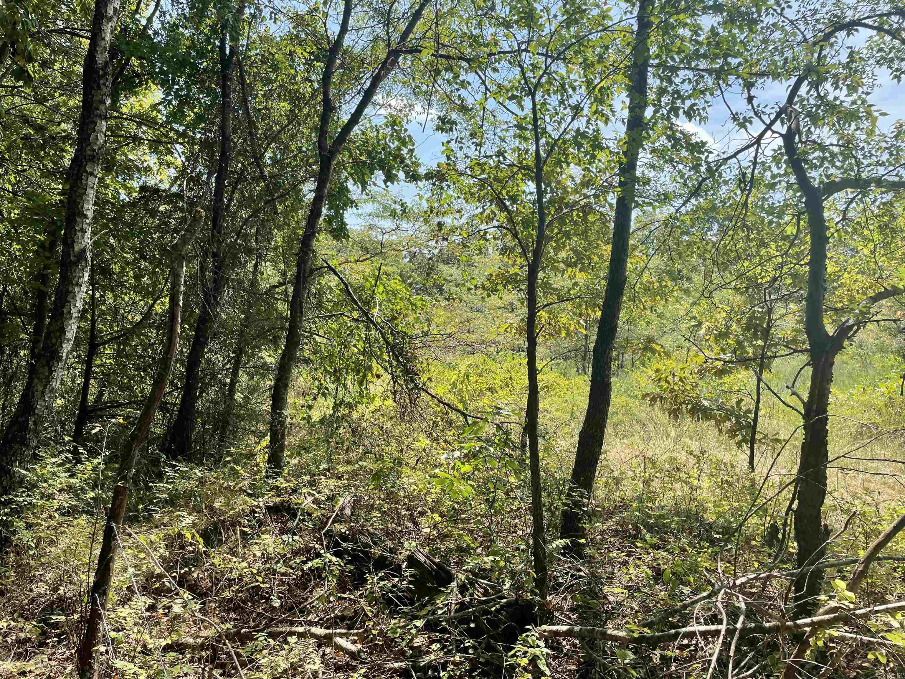 000 Gaylor Rd  Mountain View, AR