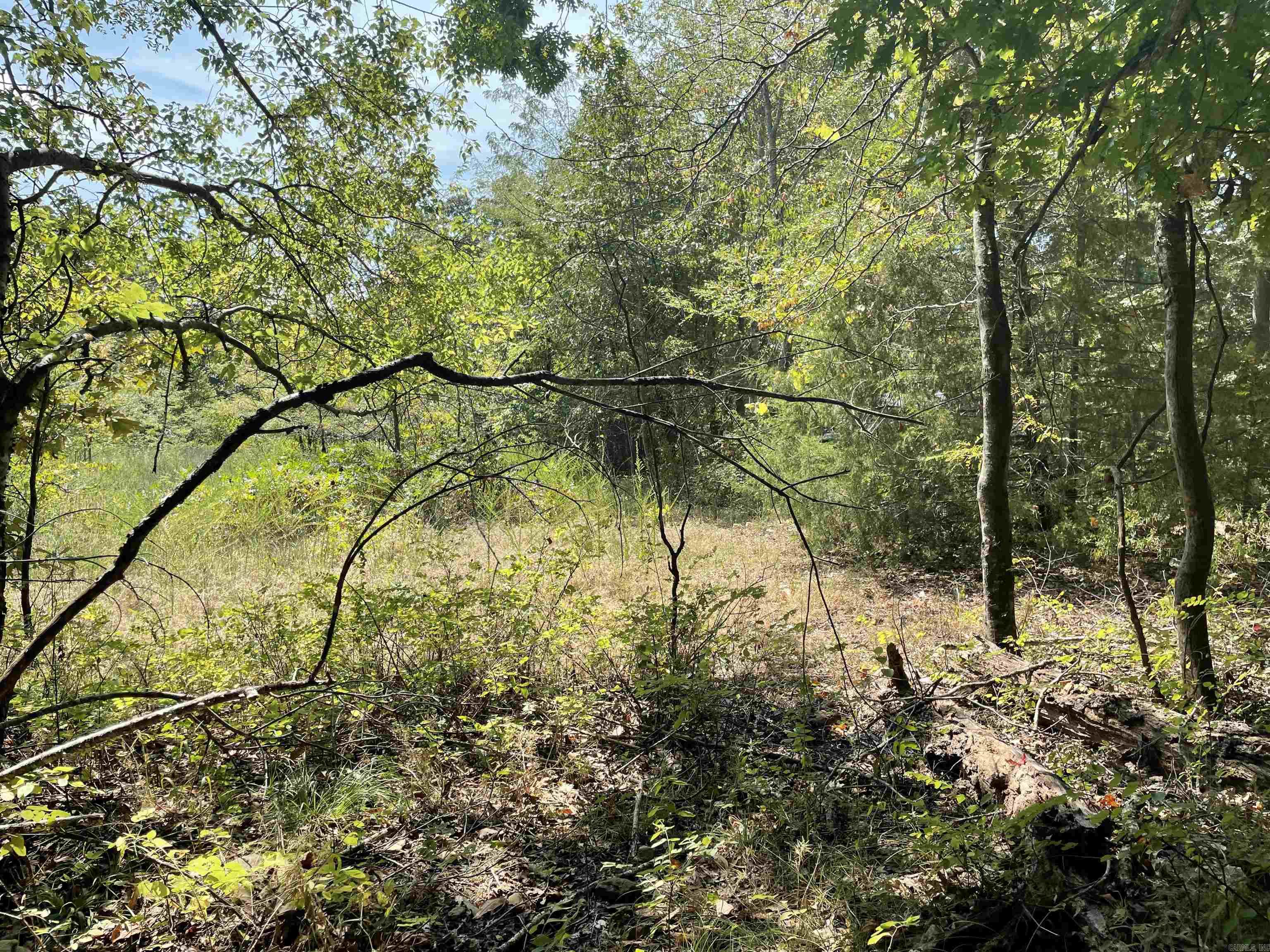 000 Gaylor Rd  Mountain View, AR