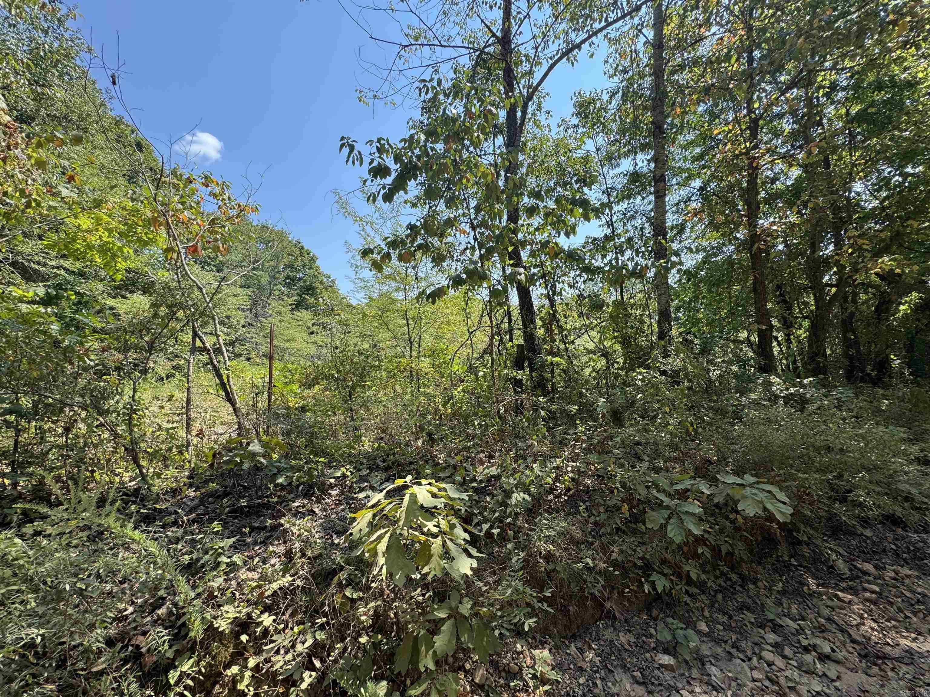 000 Gaylor Rd  Mountain View, AR