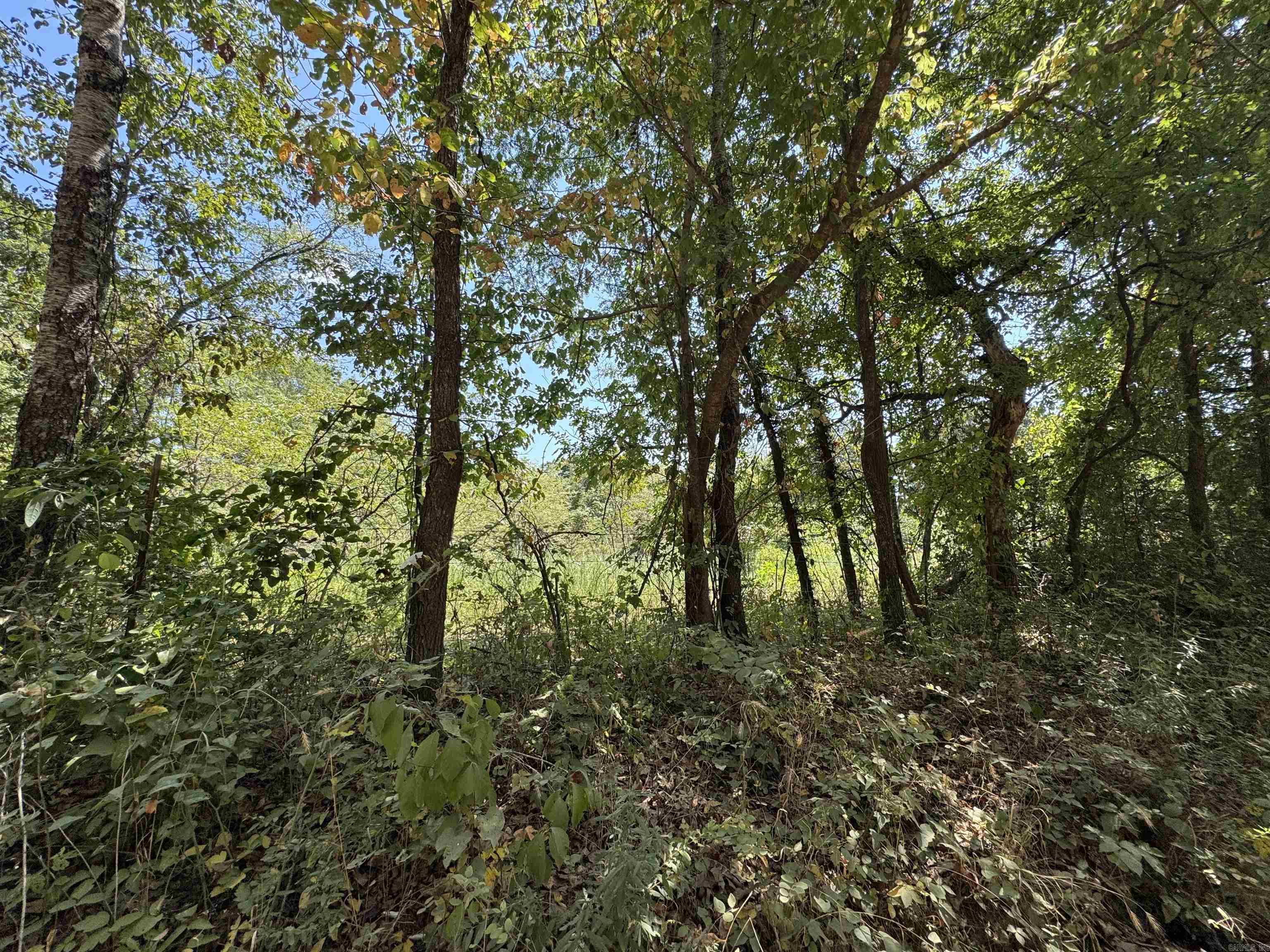 000 Gaylor Rd  Mountain View, AR