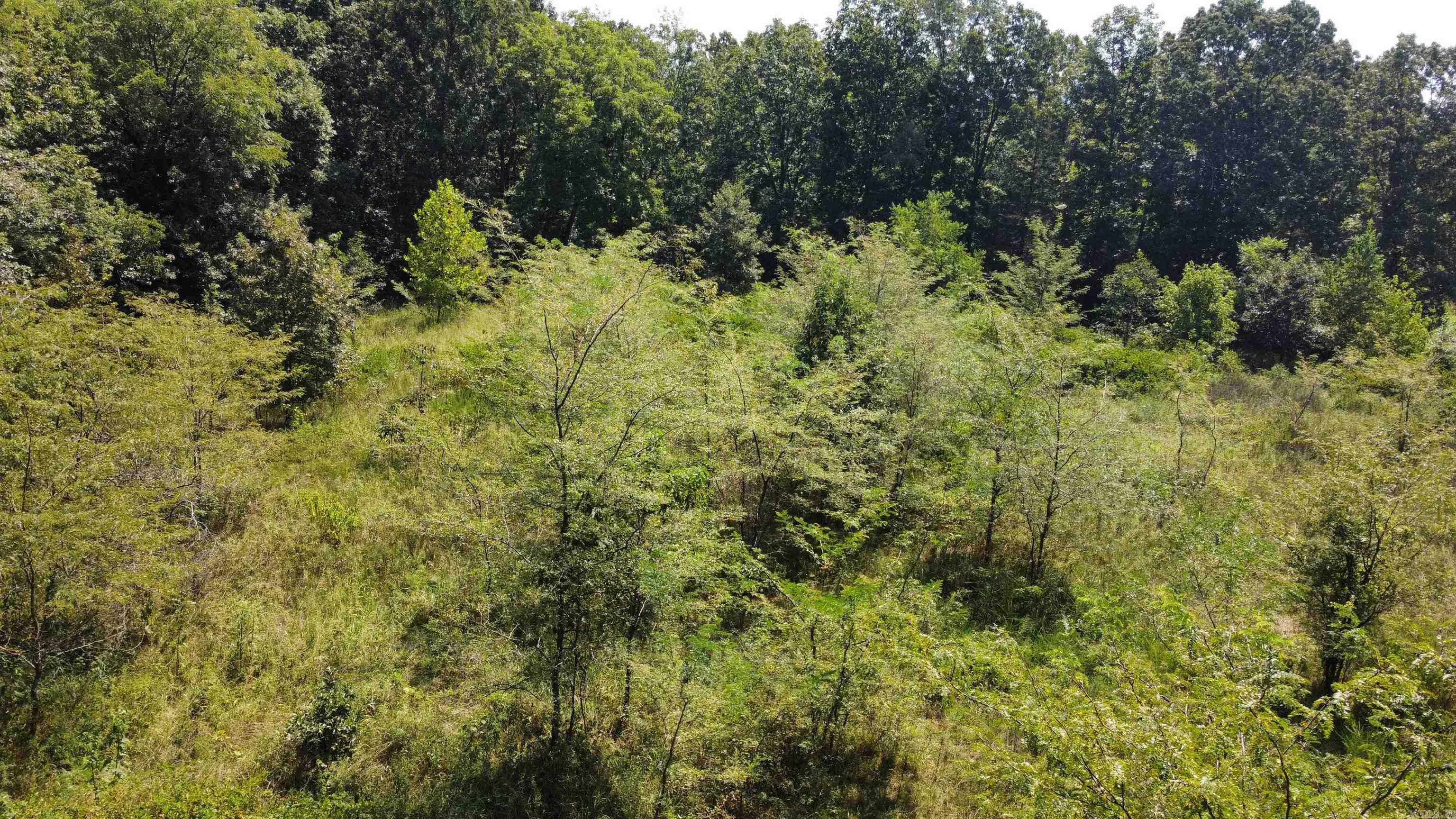 000 Gaylor Rd  Mountain View, AR