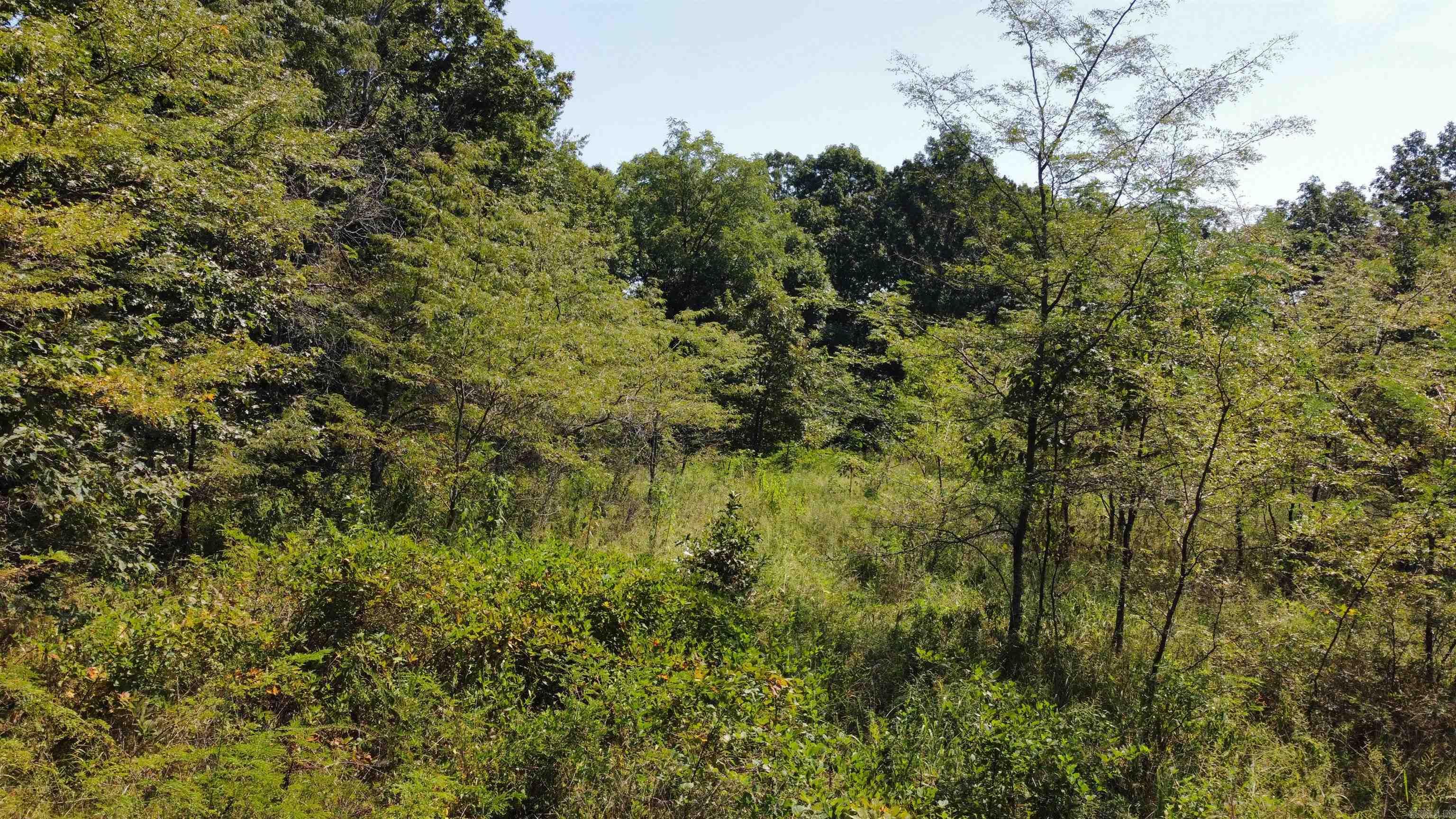 000 Gaylor Rd  Mountain View, AR