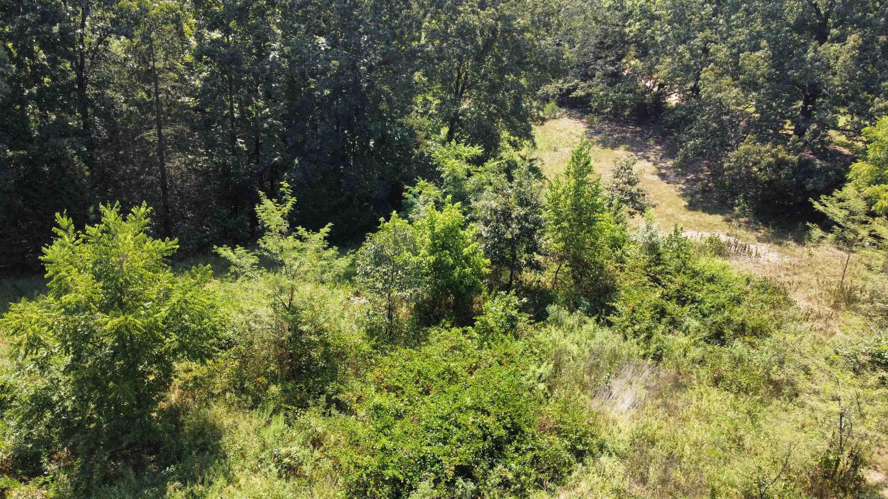 000 Gaylor Rd  Mountain View, AR