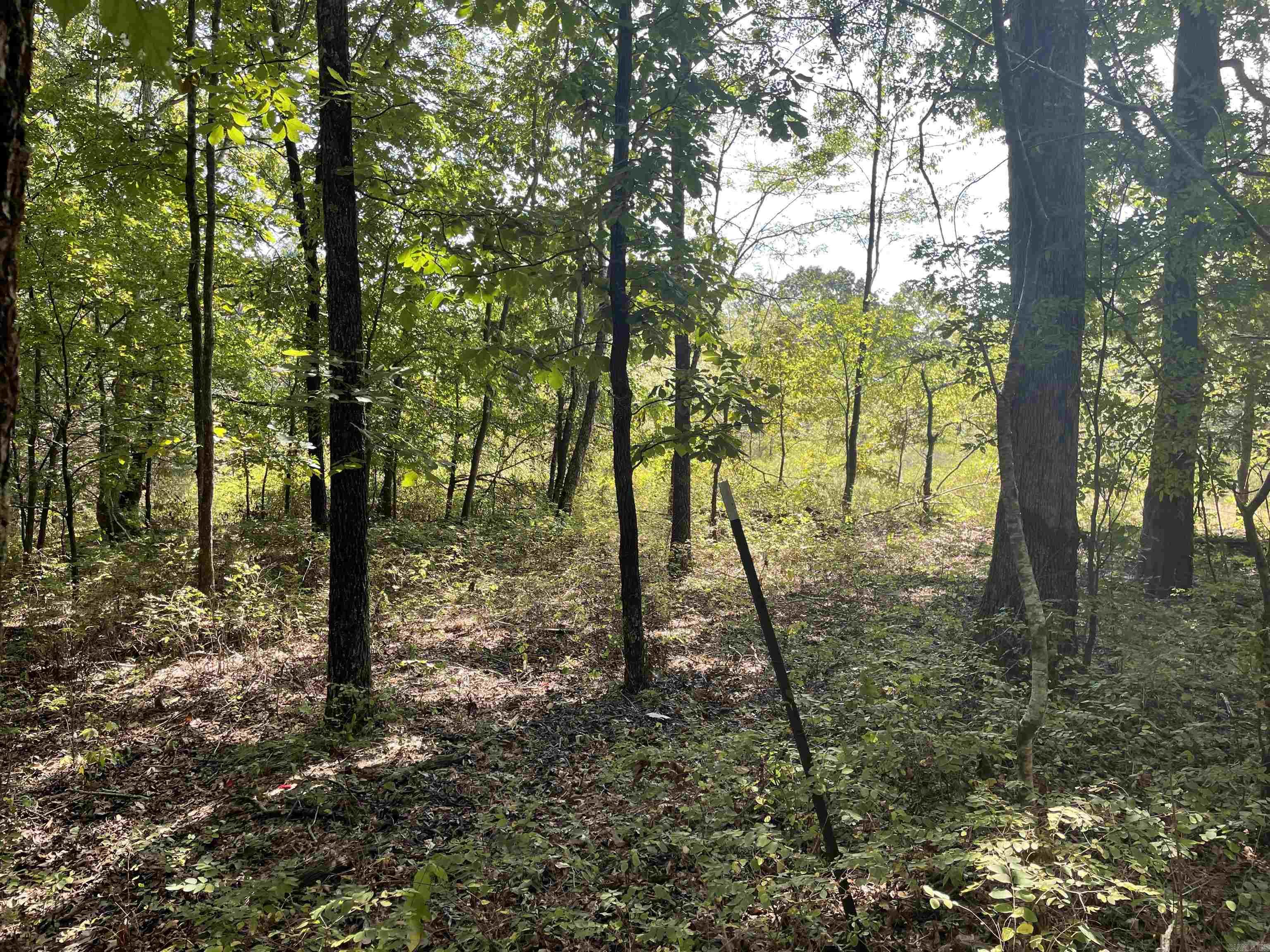 000 Gaylor Rd  Mountain View, AR