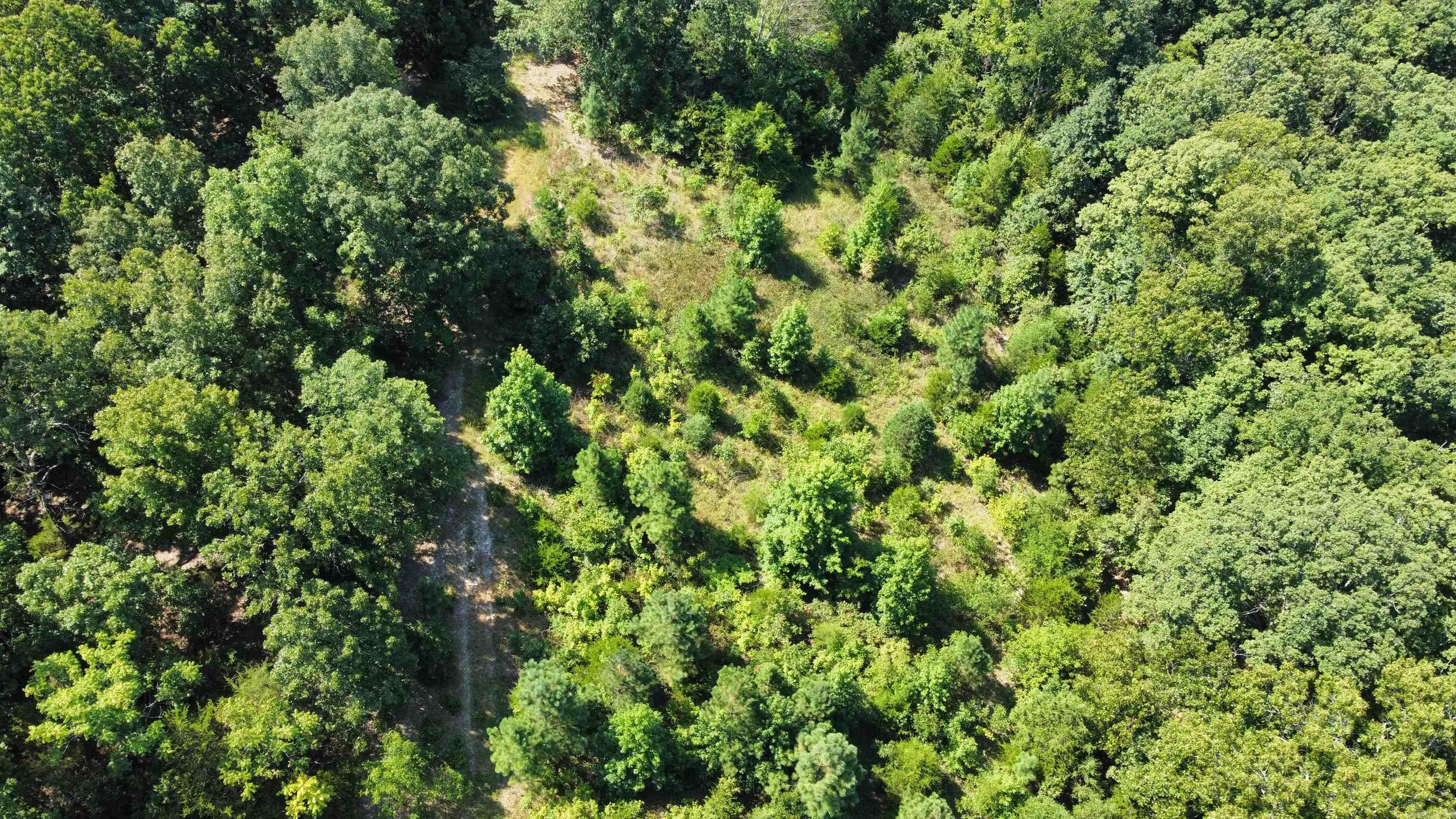 000 Holmes rd  Mountain View, AR