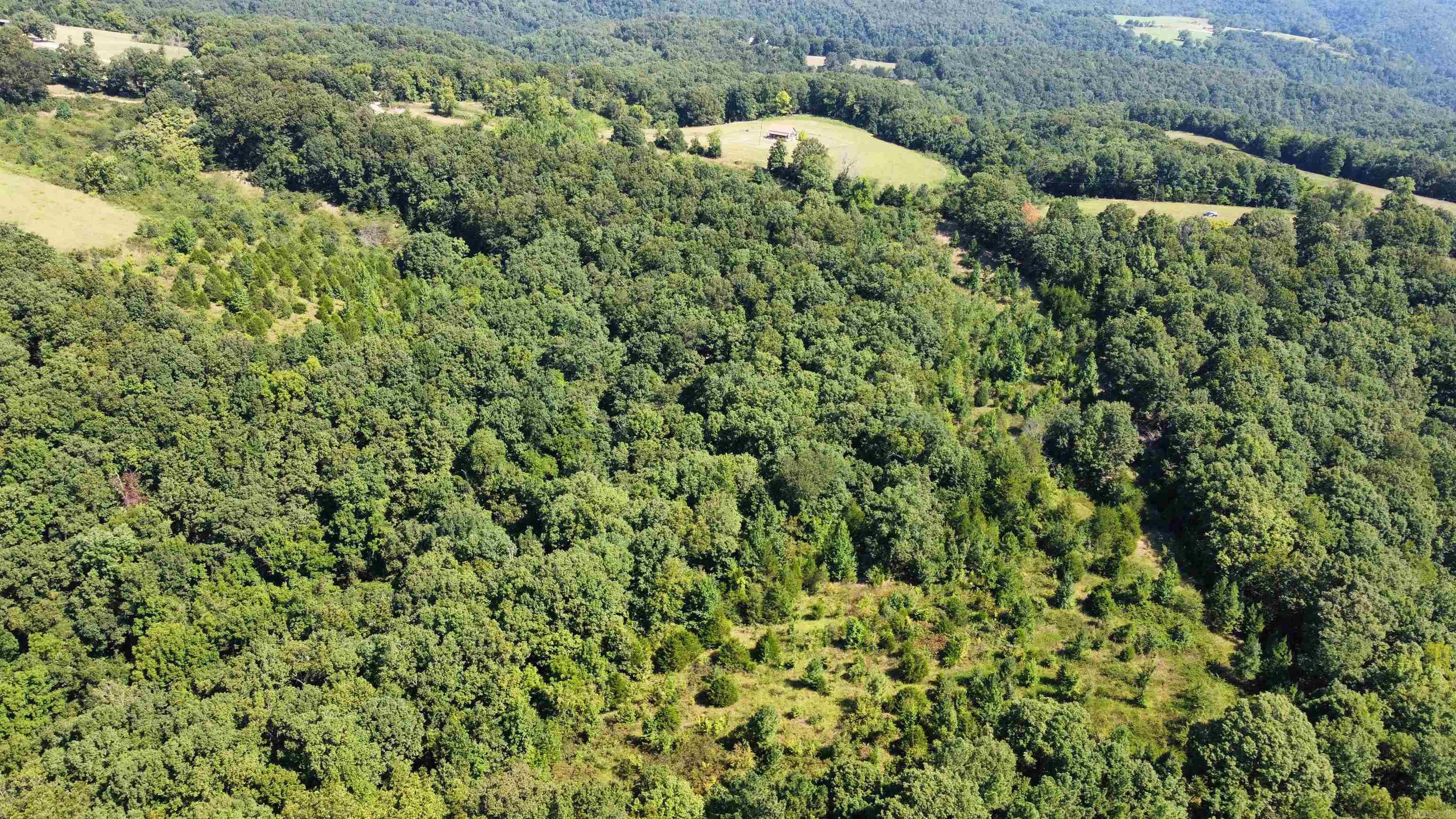 000 Holmes rd  Mountain View, AR