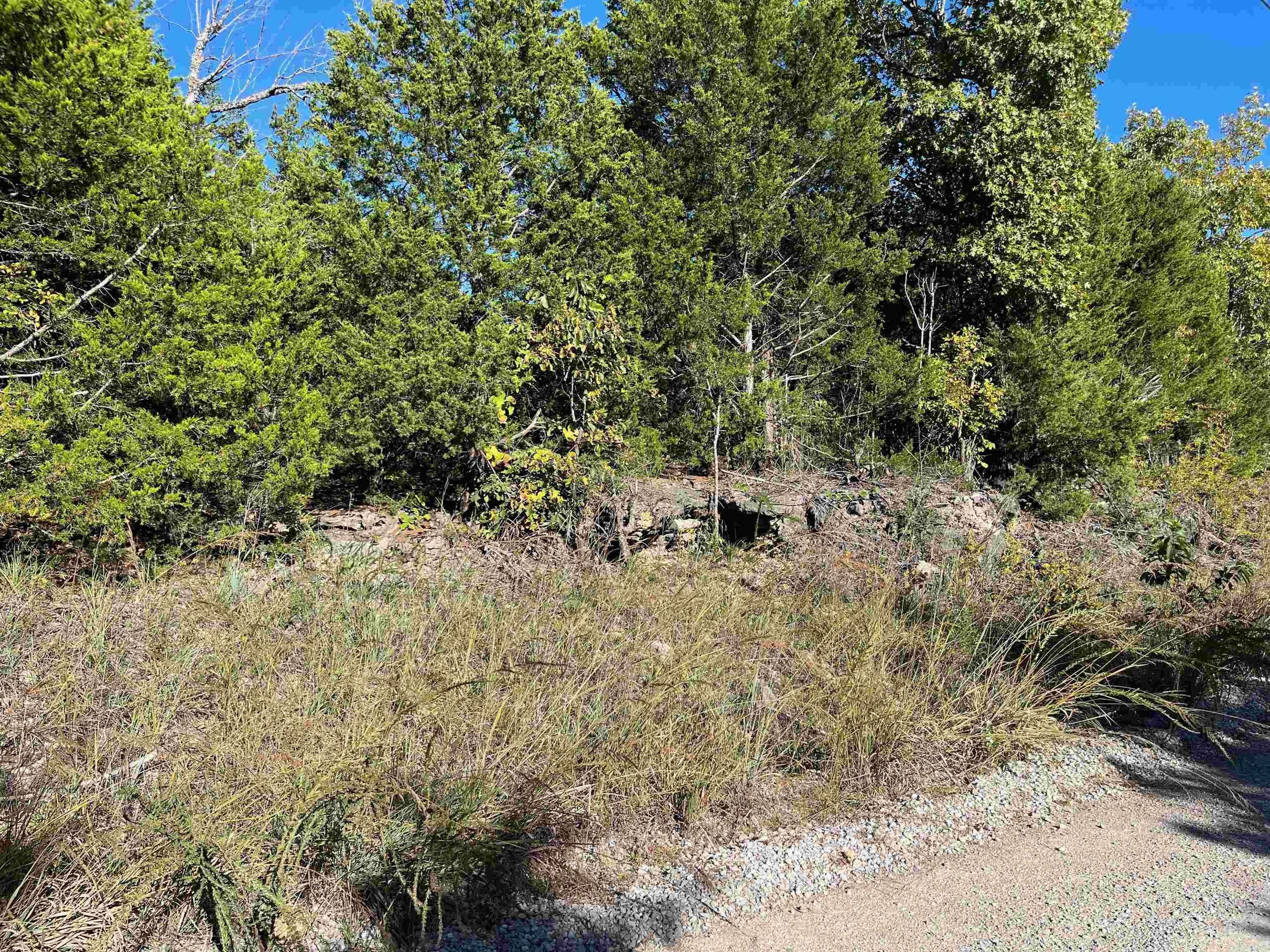 00 CR 1419  Mountain Home, AR