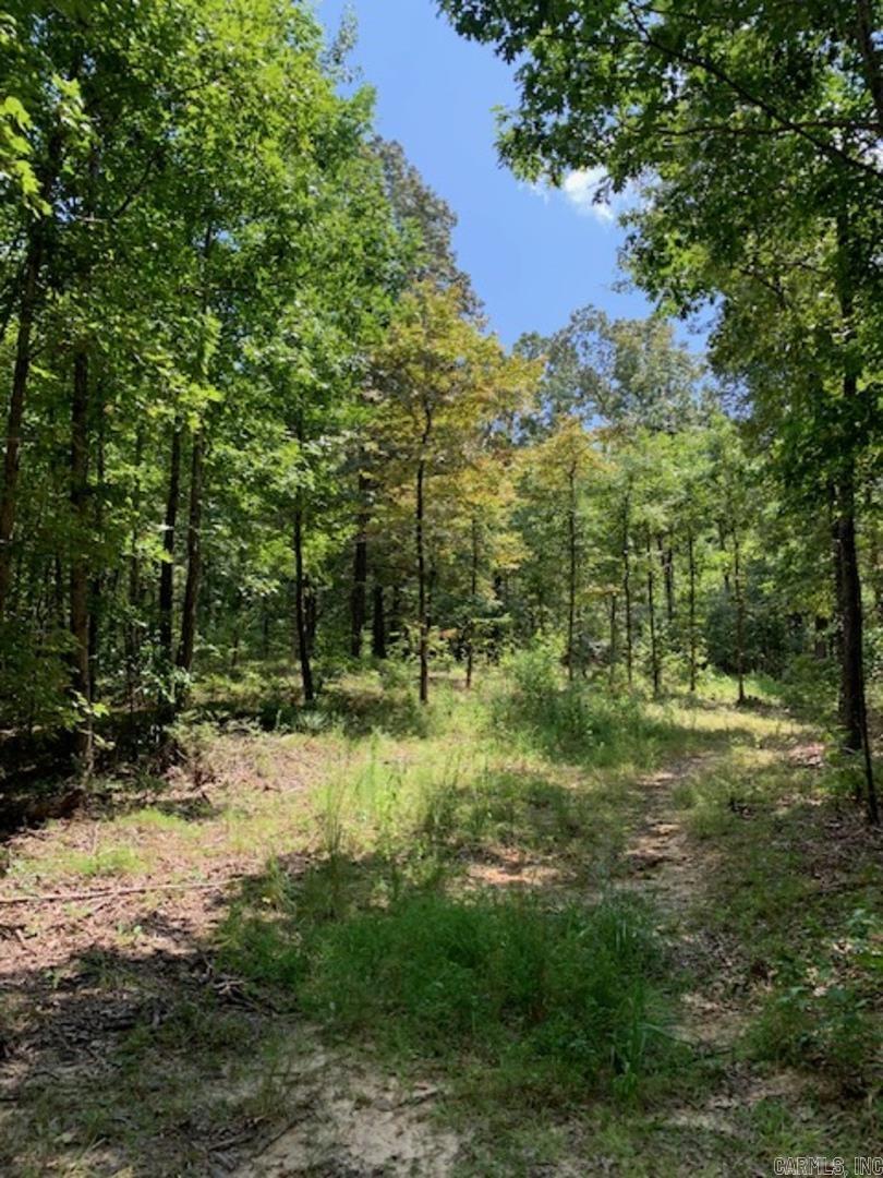 2901 greene cr 731  Paragould, AR