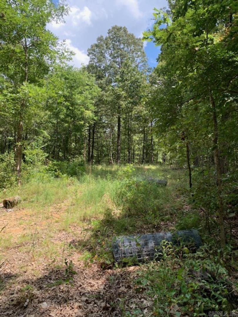 2901 greene cr 731  Paragould, AR