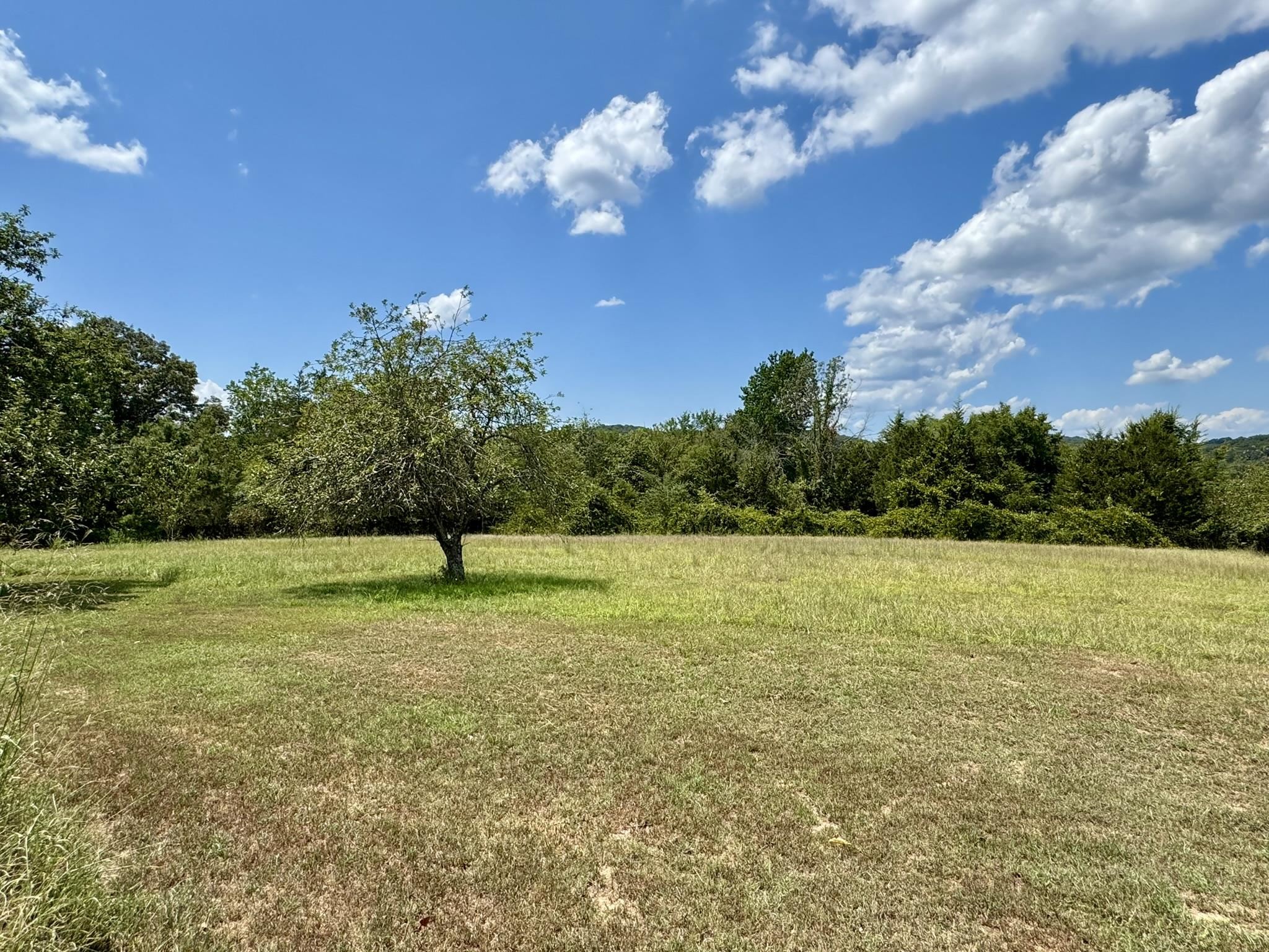 337 Cooper Hollow Road  Mount Pleasant, AR