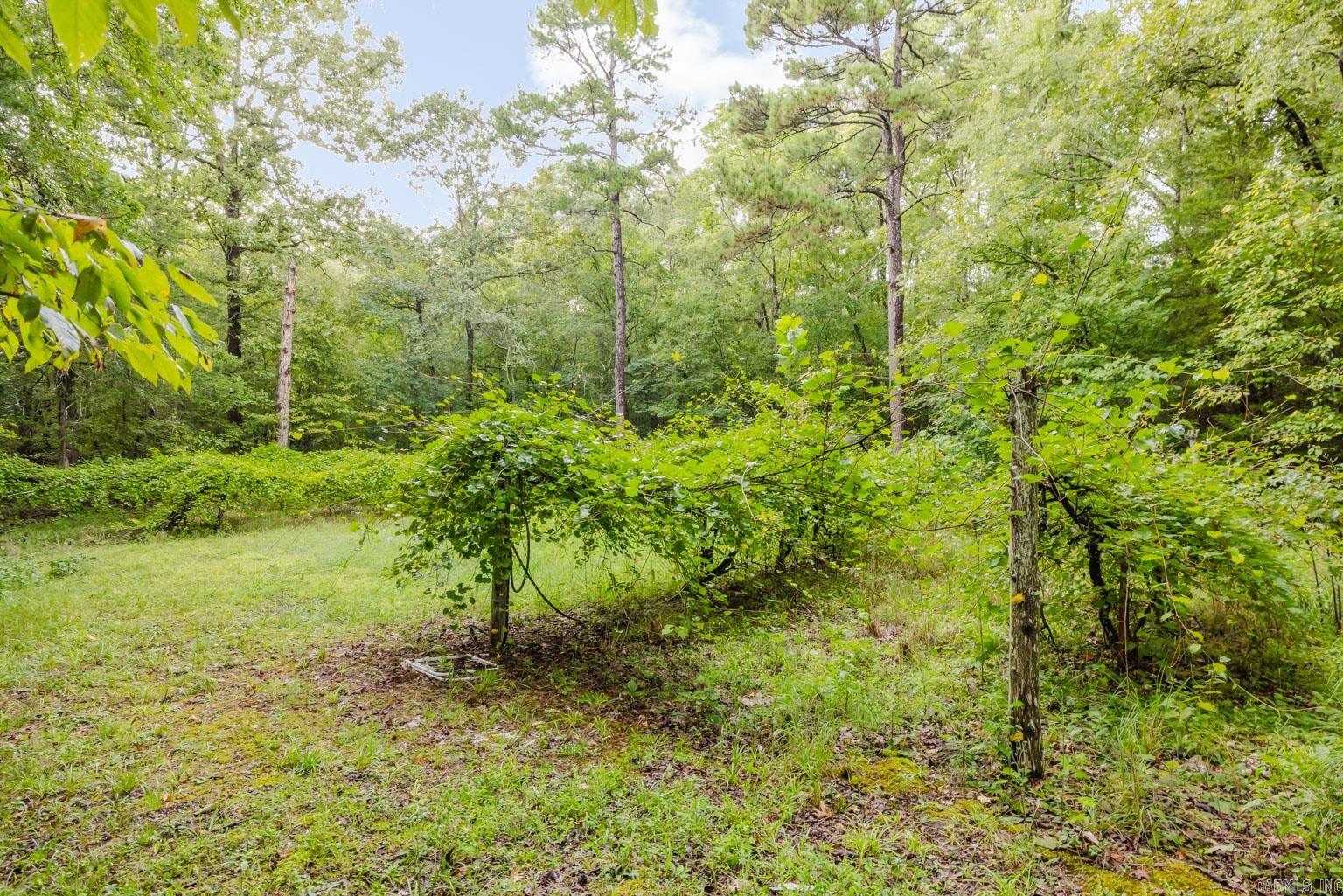23832 Highway 5  Lonsdale, AR