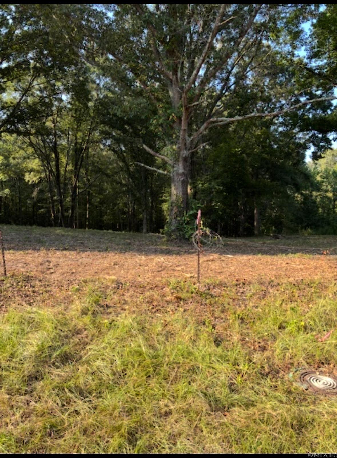 Tract B 1-2 MORNINGSTAR CIRCLE  Benton, AR