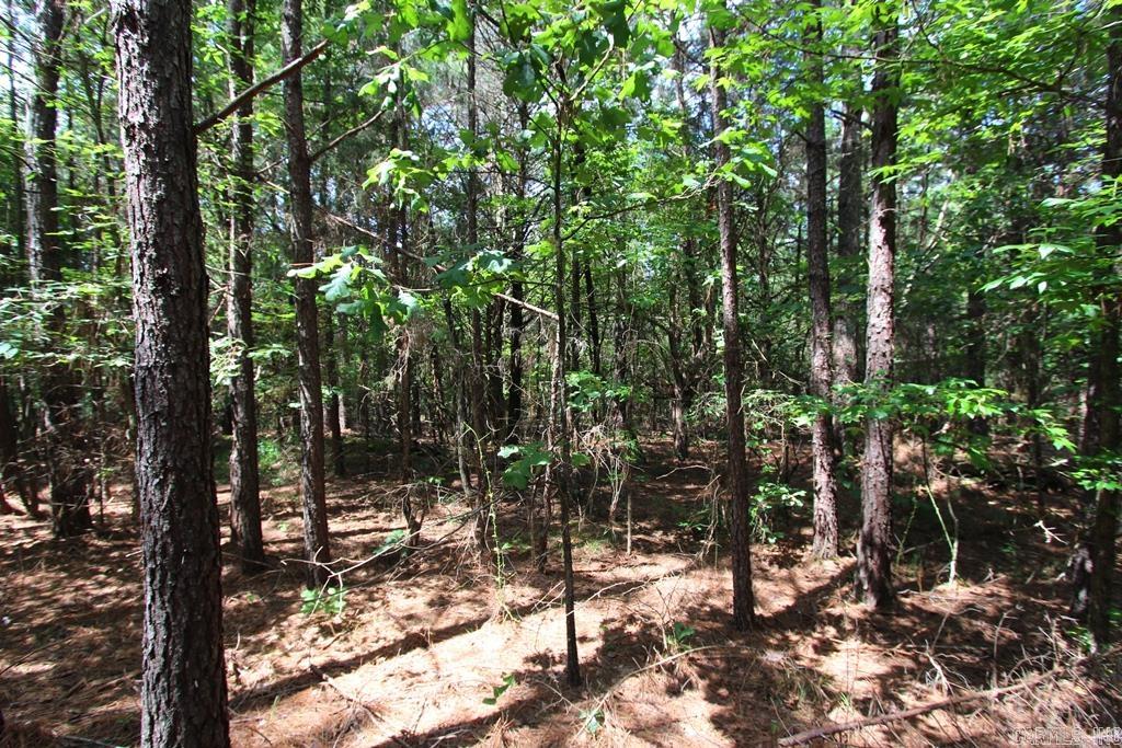 570 Mt Vernon  Mt. Vernon, AR