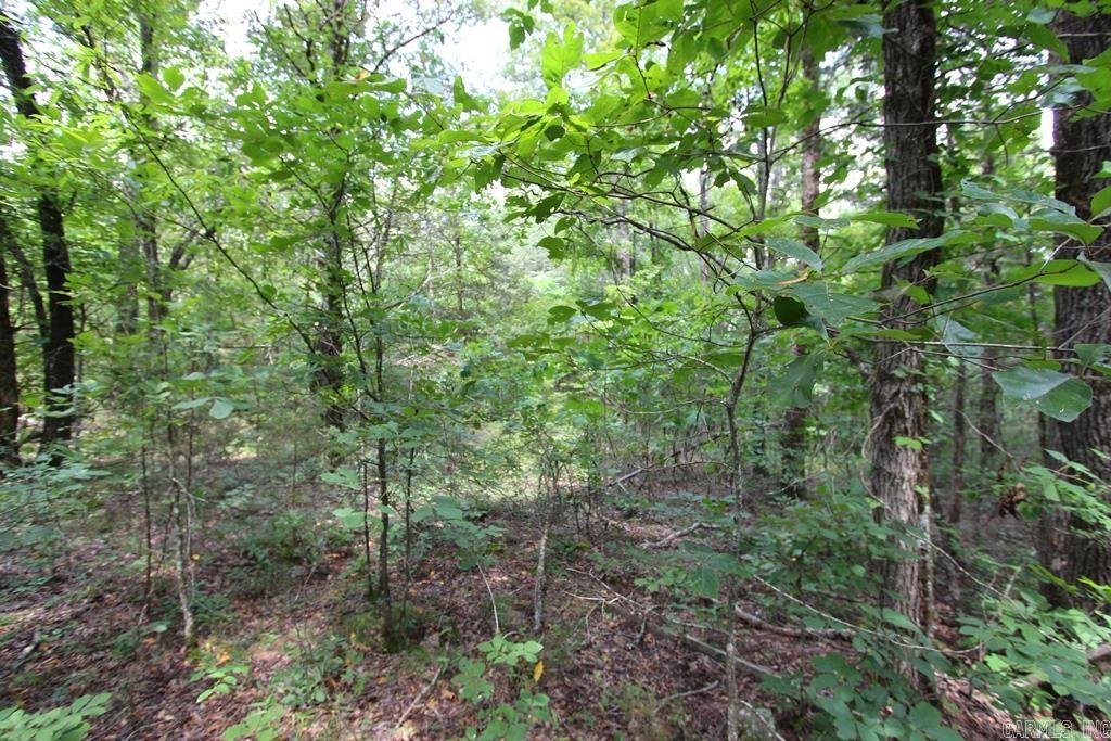 570 Mt Vernon  Mt. Vernon, AR