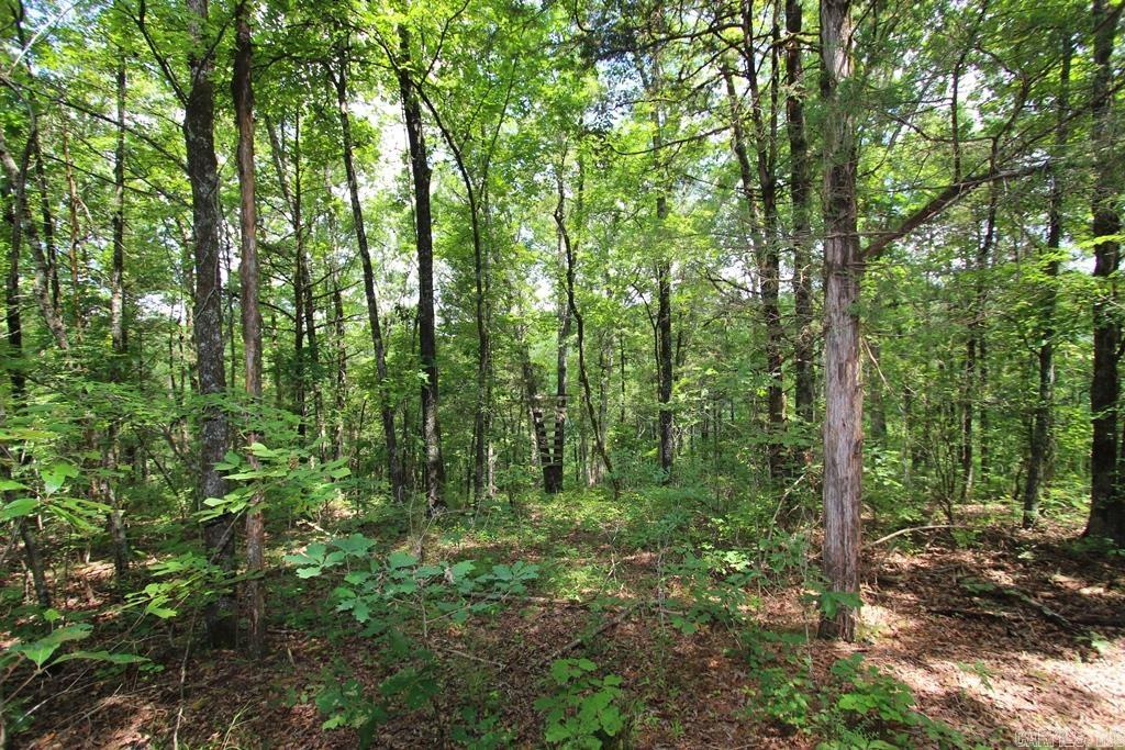 570 Mt Vernon  Mt. Vernon, AR