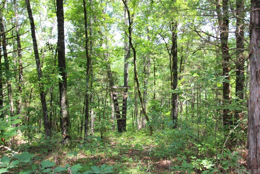 570 Mt Vernon  Mt. Vernon, AR