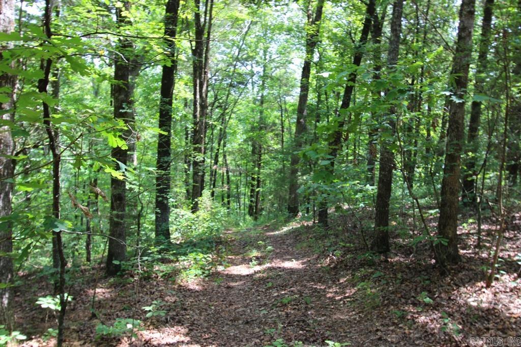 570 Mt Vernon  Mt. Vernon, AR