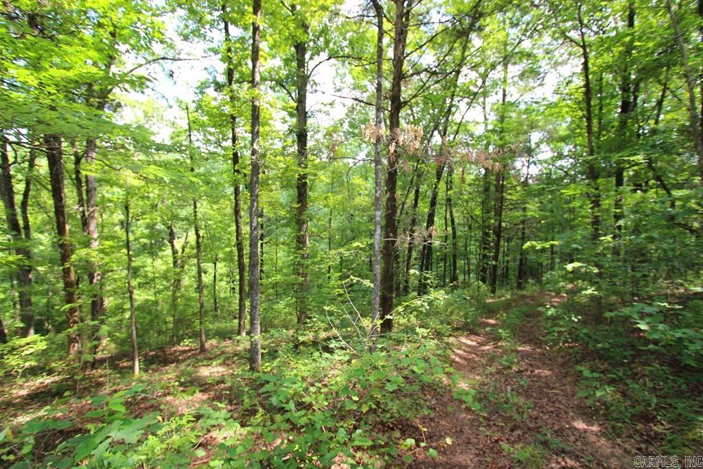 570 Mt Vernon  Mt. Vernon, AR