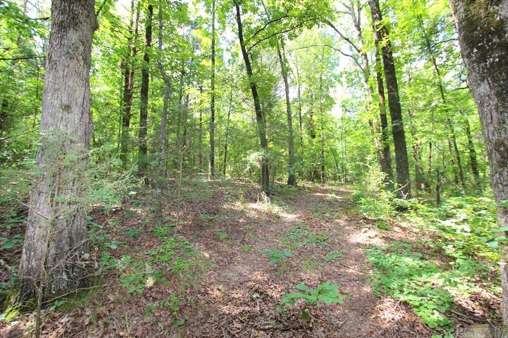 570 Mt Vernon  Mt. Vernon, AR