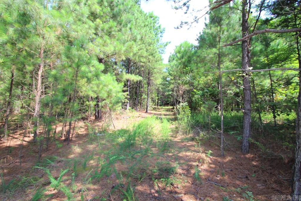 570 Mt Vernon  Mt. Vernon, AR