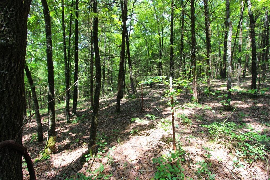 570 Mt Vernon  Mt. Vernon, AR