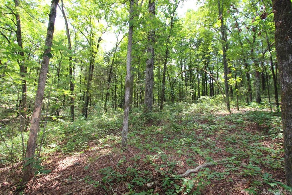 570 Mt Vernon  Mt. Vernon, AR