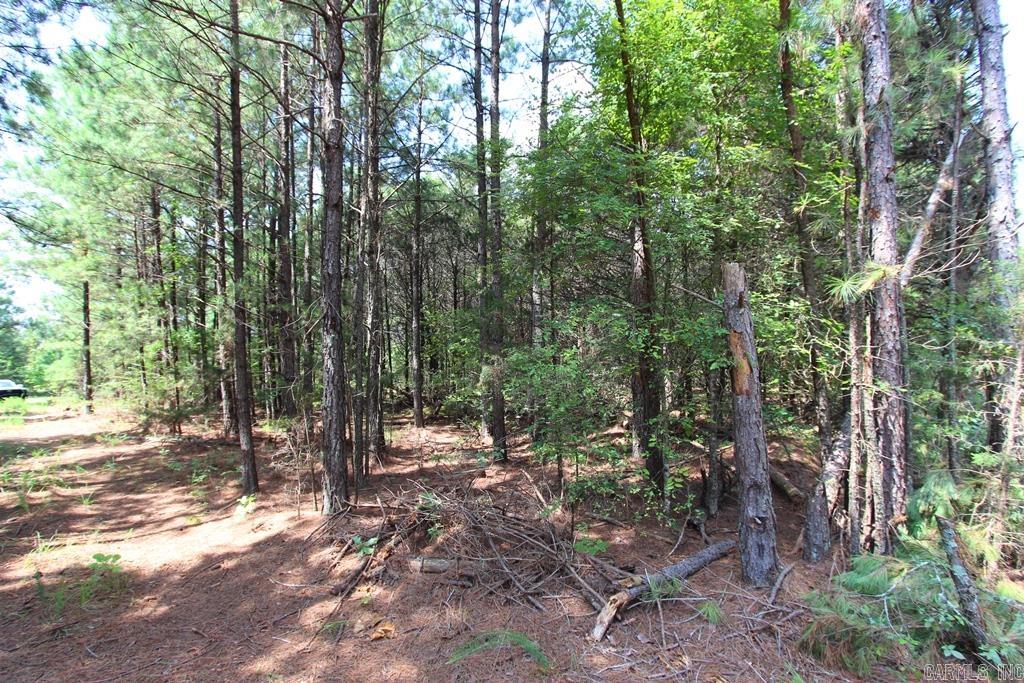 570 Mt Vernon  Mt. Vernon, AR