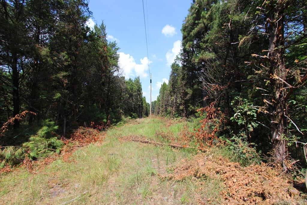 570 Mt Vernon  Mt. Vernon, AR