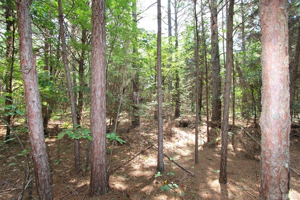 570 Mt Vernon  Mt. Vernon, AR
