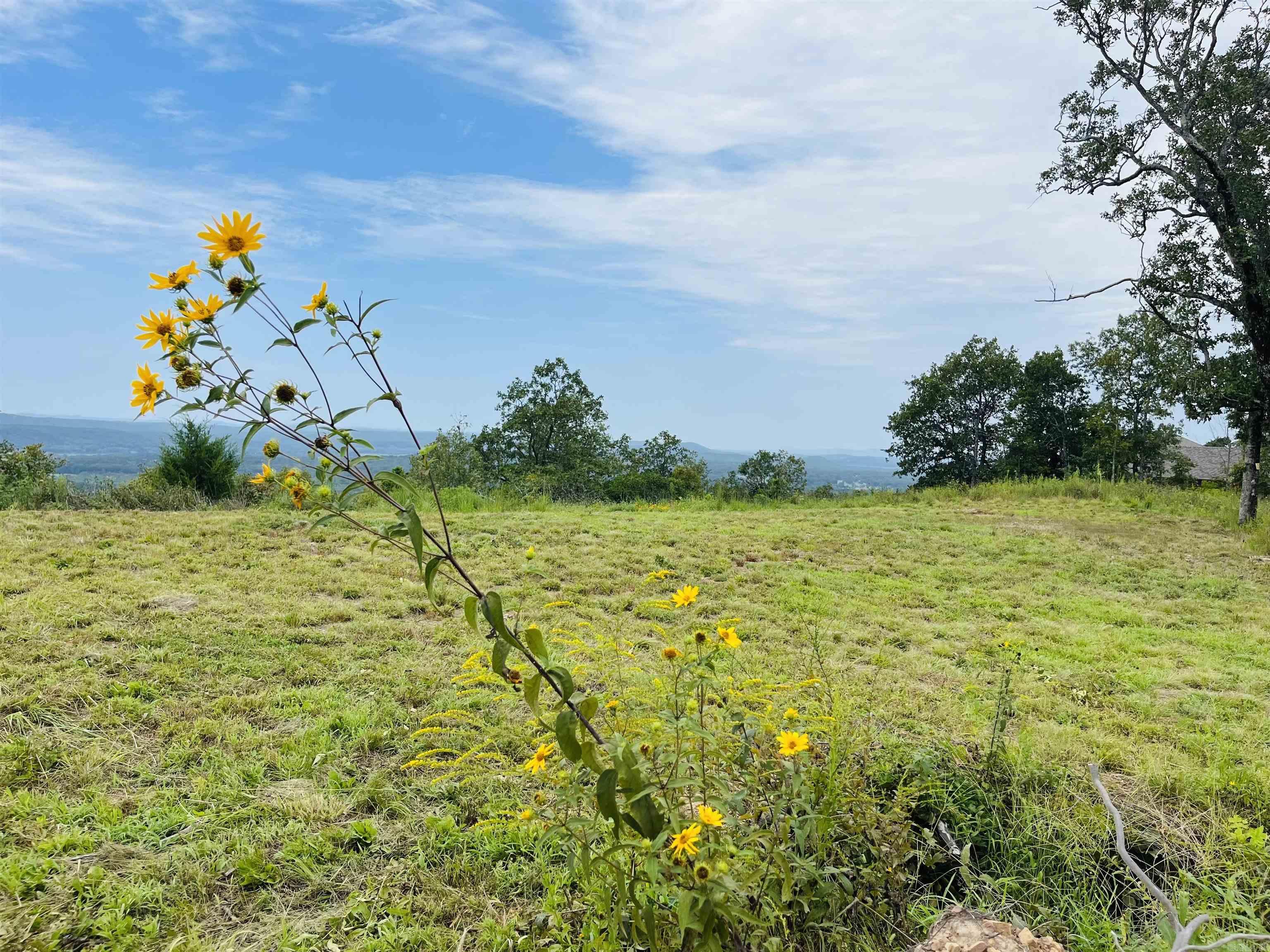 87 High Point Drive  Mayflower, AR
