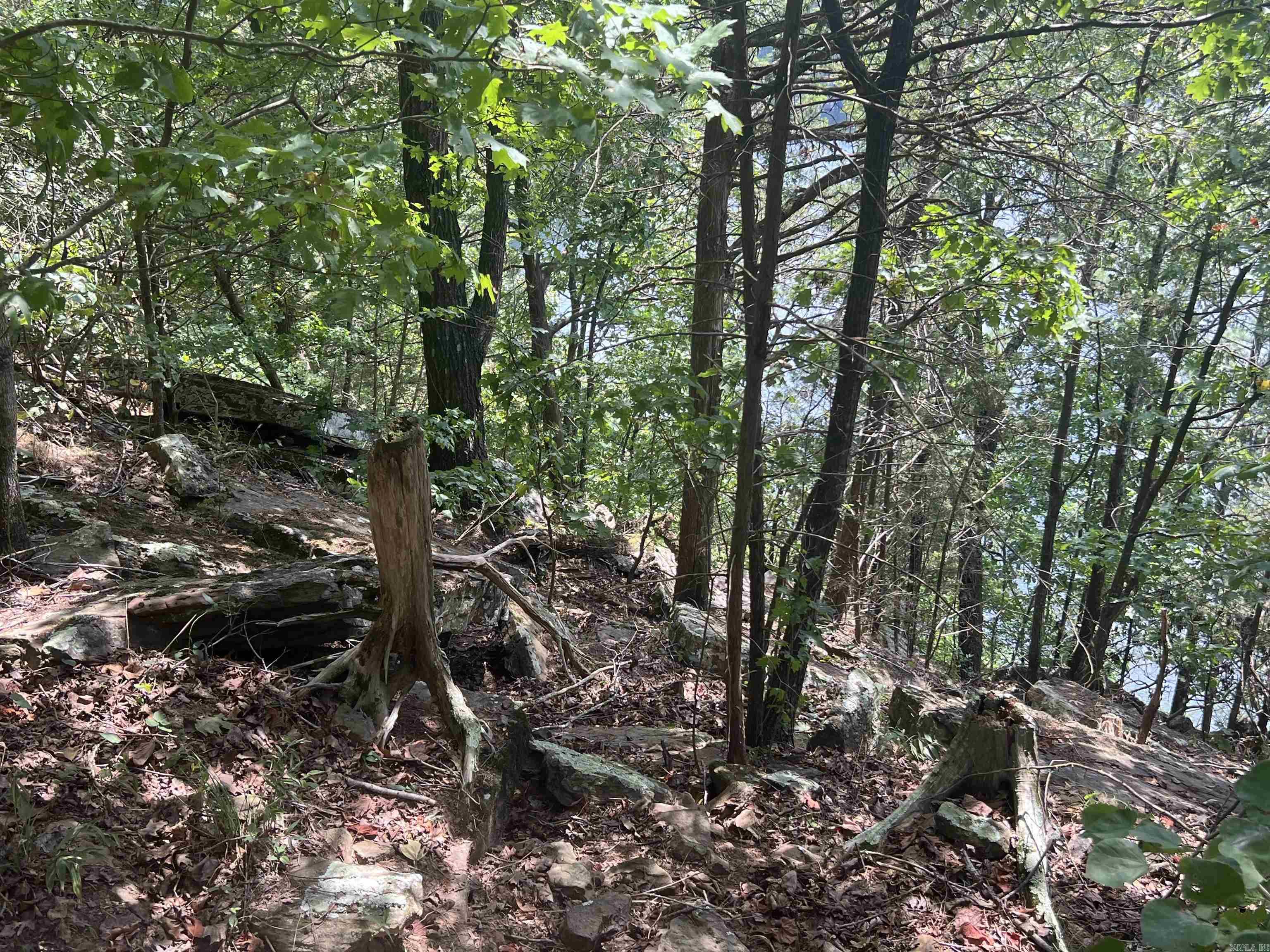 4492 A Burnt Ridge Rd  Shirley, AR