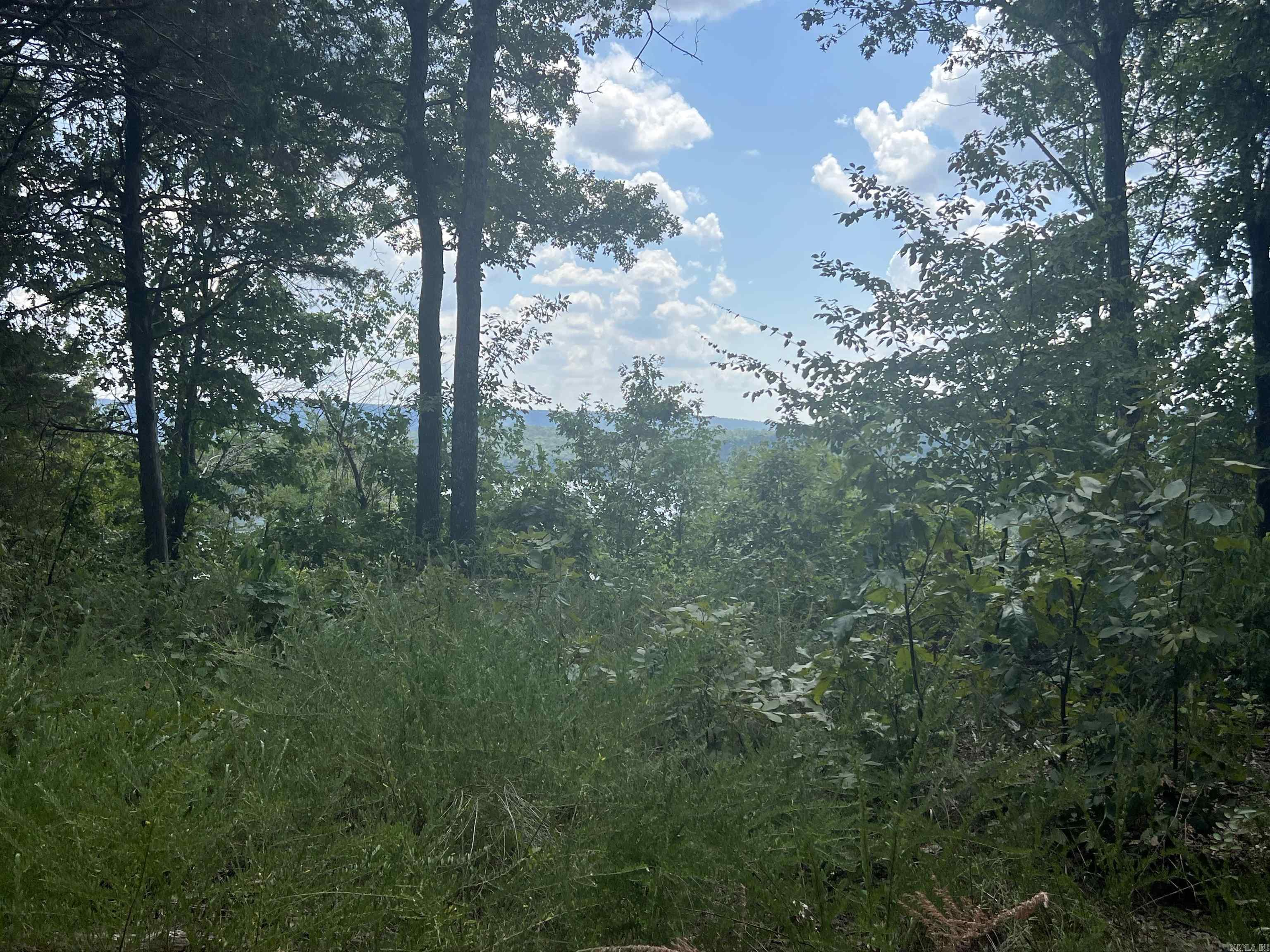 4492 C Burnt Ridge Rd  Shirley, AR