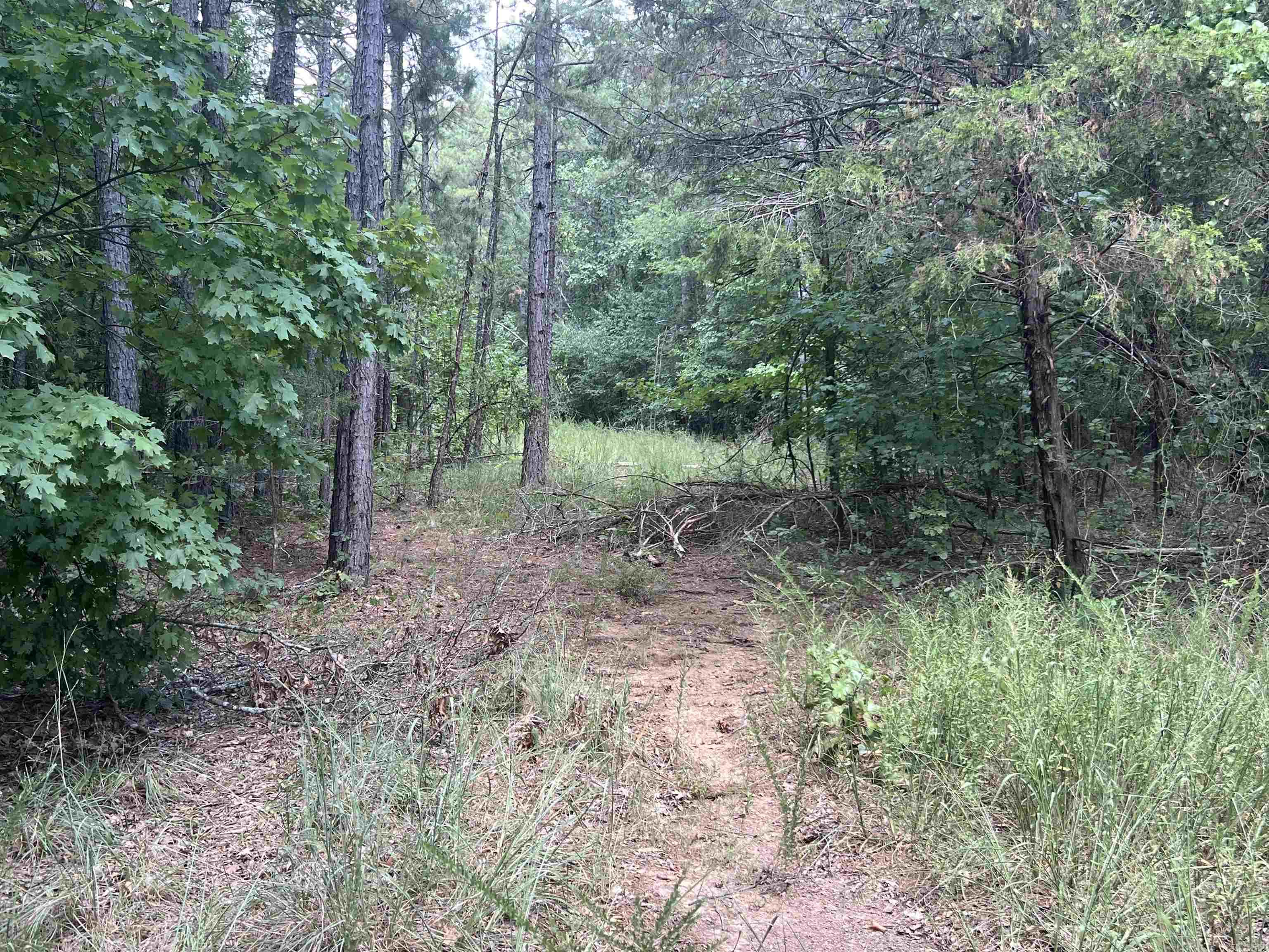 4492 C Burnt Ridge Rd  Shirley, AR