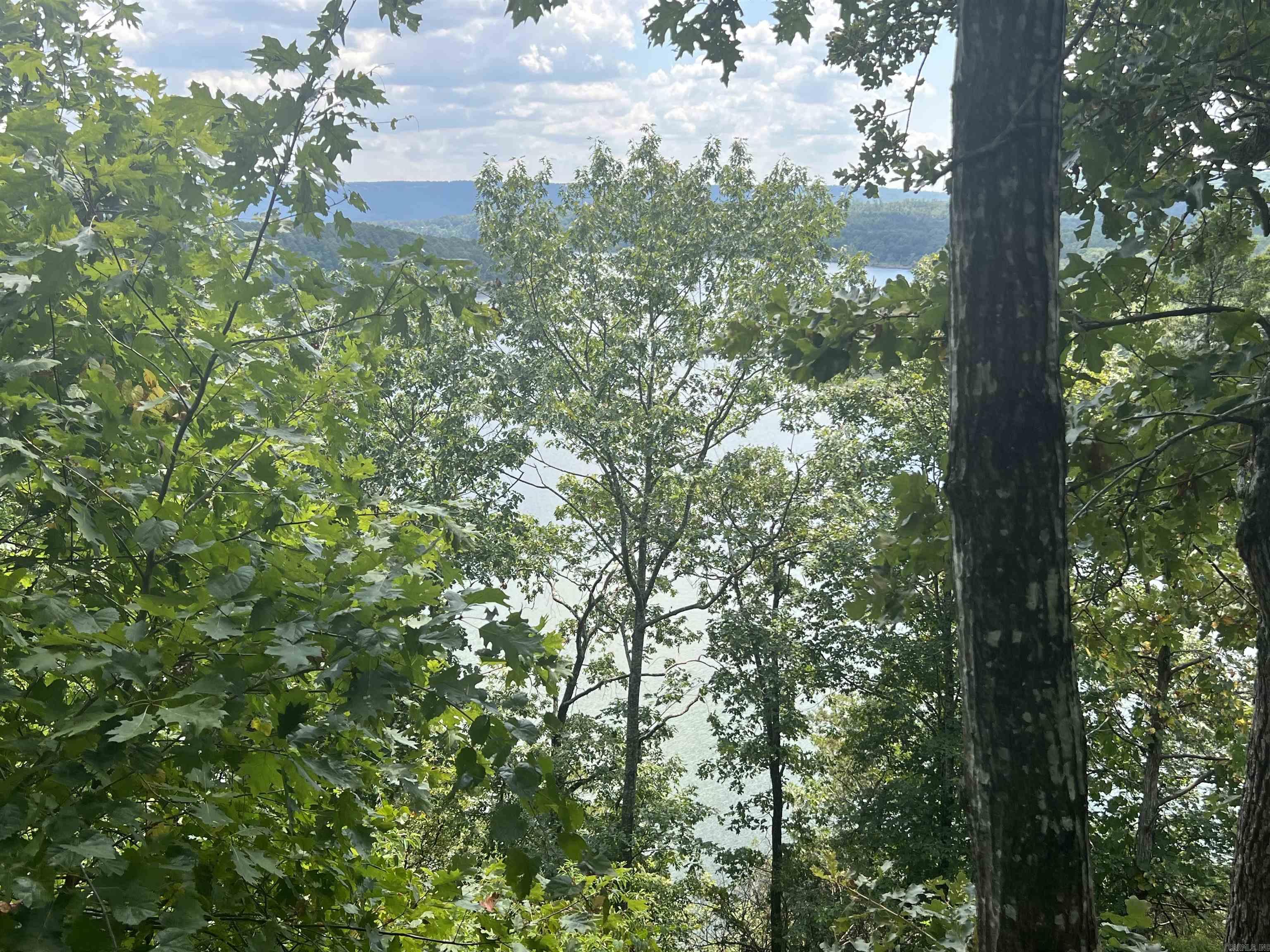 4492 D Burnt Ridge Rd  Shirley, AR