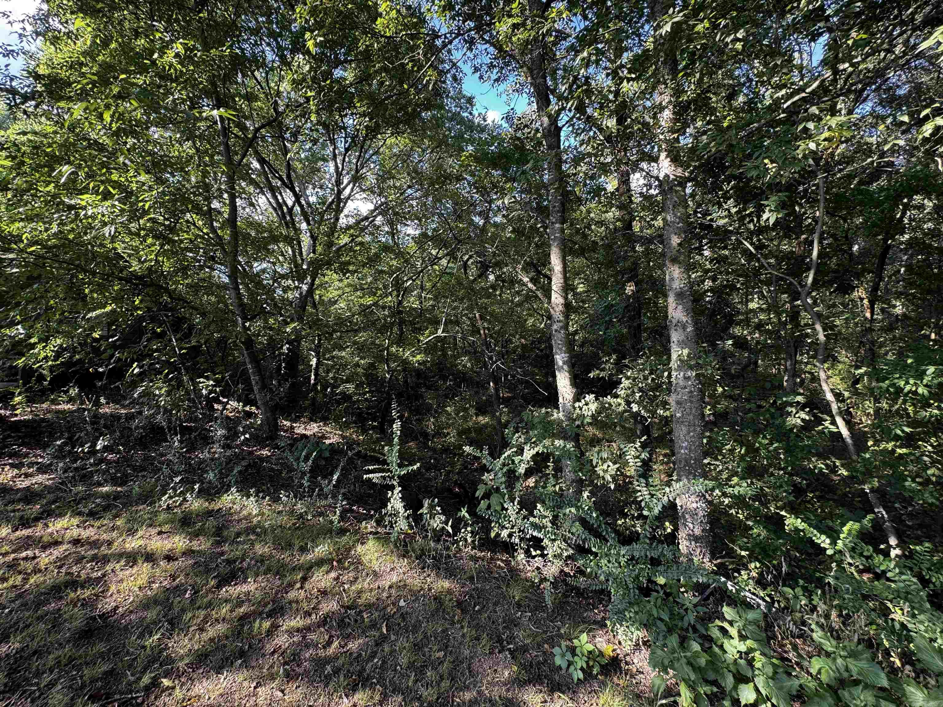 489 County Road 4491  Clarksville, AR